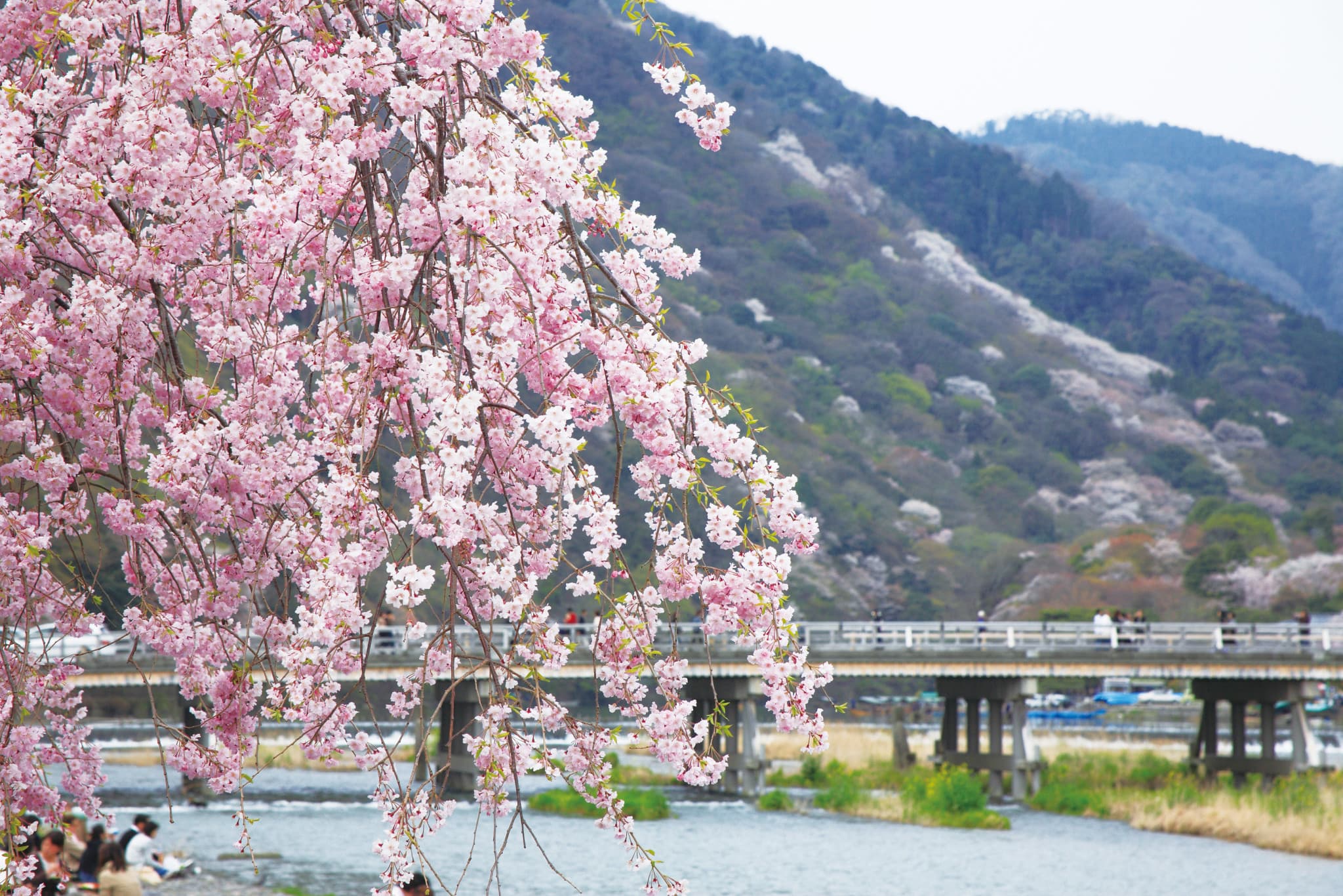 Hankyu One-Day Pass - image 2