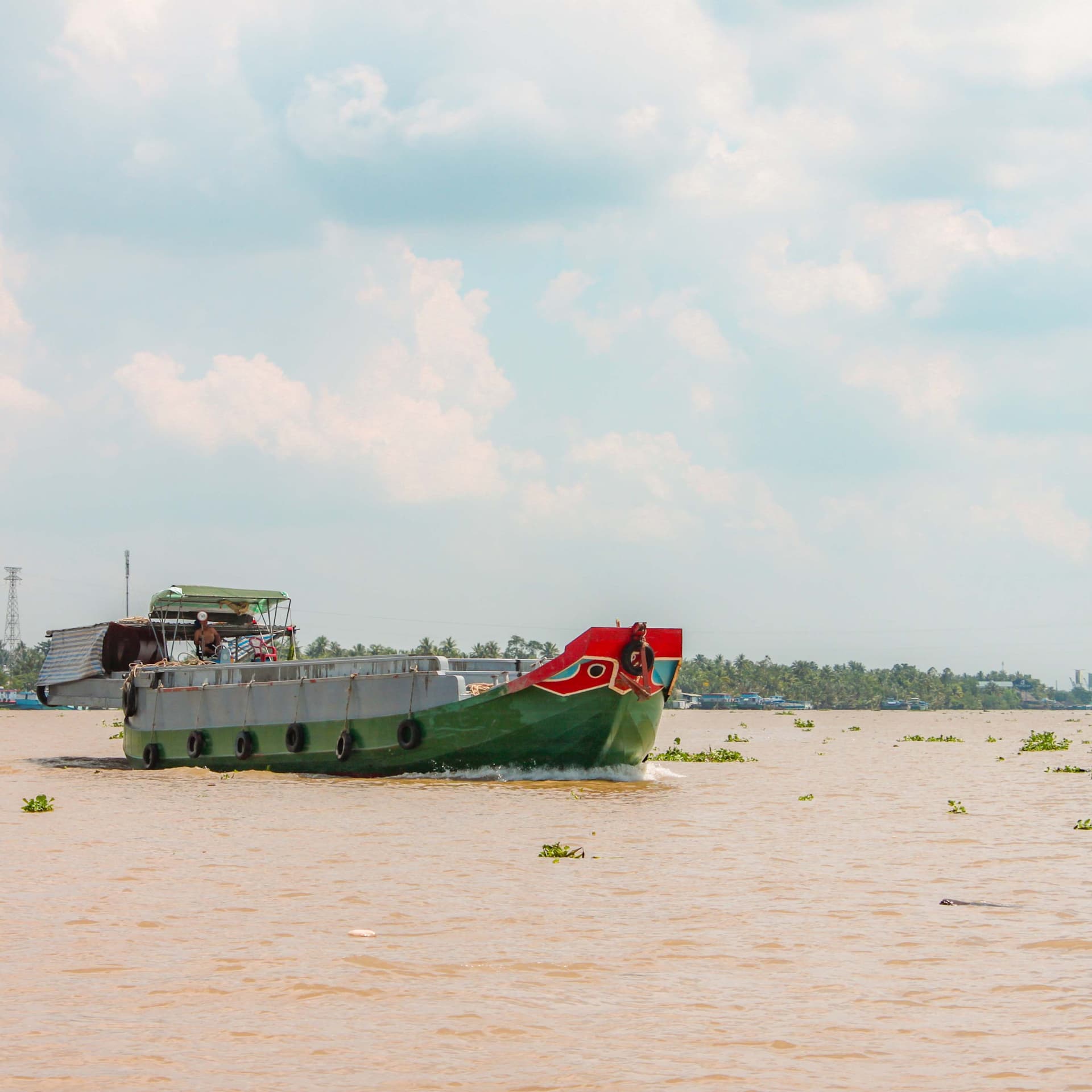 Tour de día completo por los túneles de Cu Chi y el delta del Mekong desde Ho Chi Minh - imagen 13