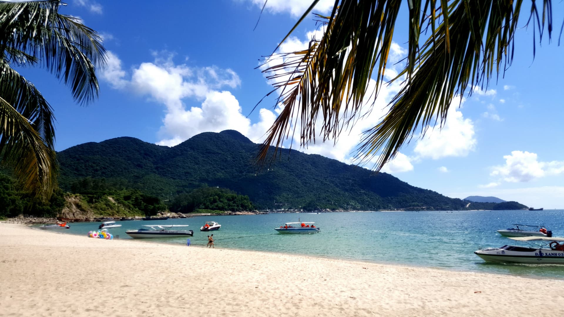Cham Island Tour from Da Nang - main image