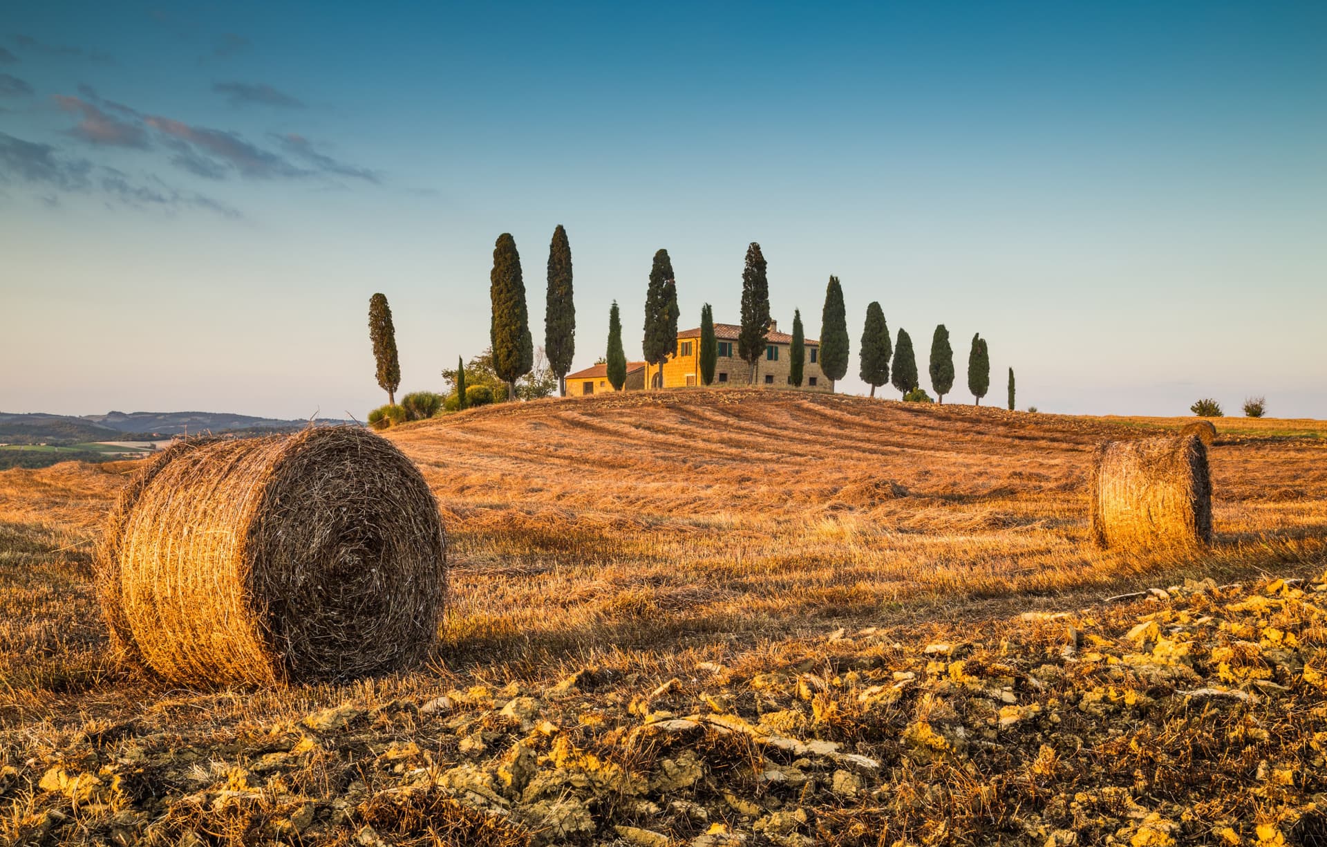 Medieval Tuscany Tour from Florence: Monteriggioni, Montalcino, Pienza - image 2