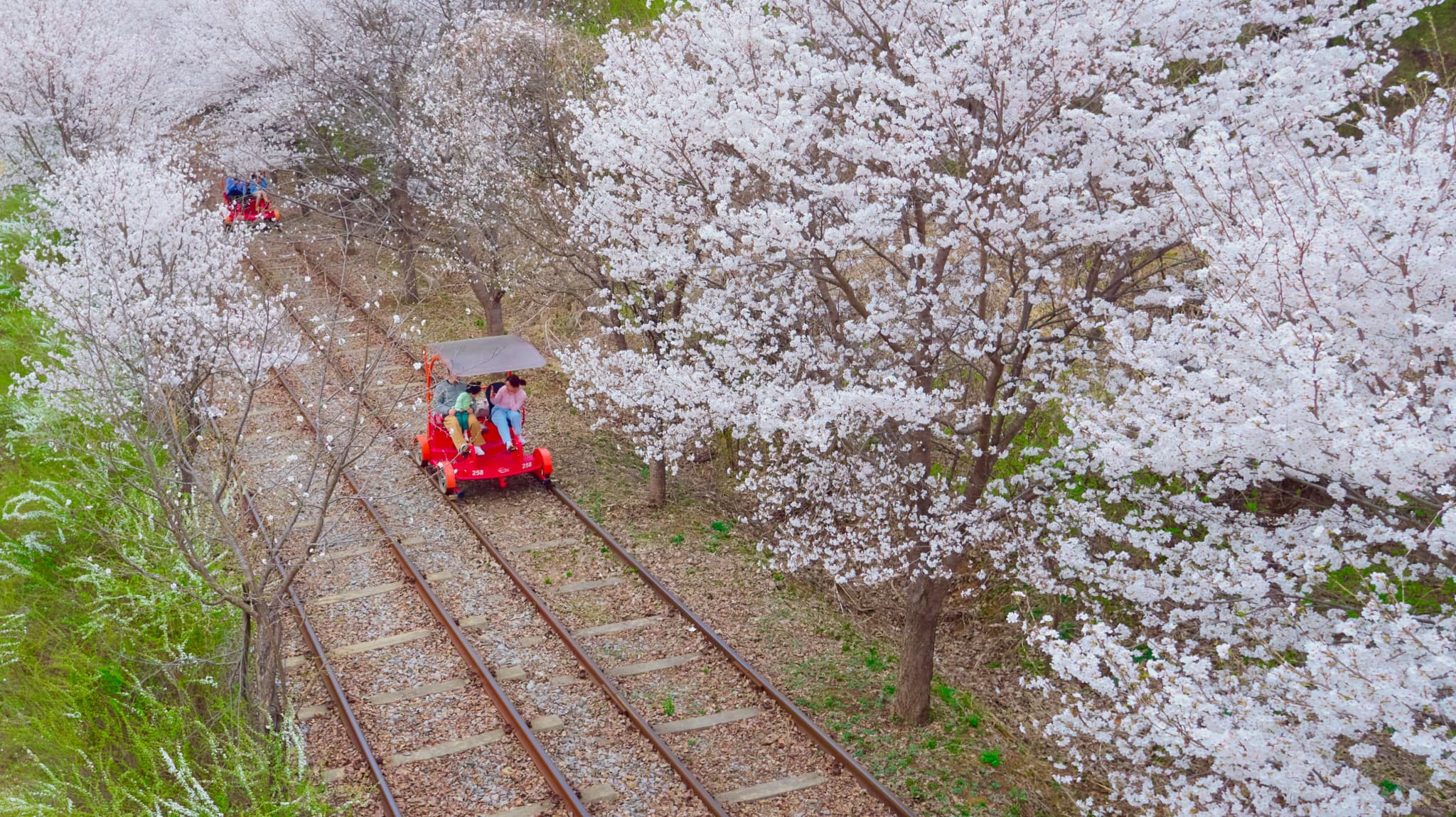 Nami Island, Mount Seorak, and Garden of Morning Calm Full-Day Tour from Seoul - image 24