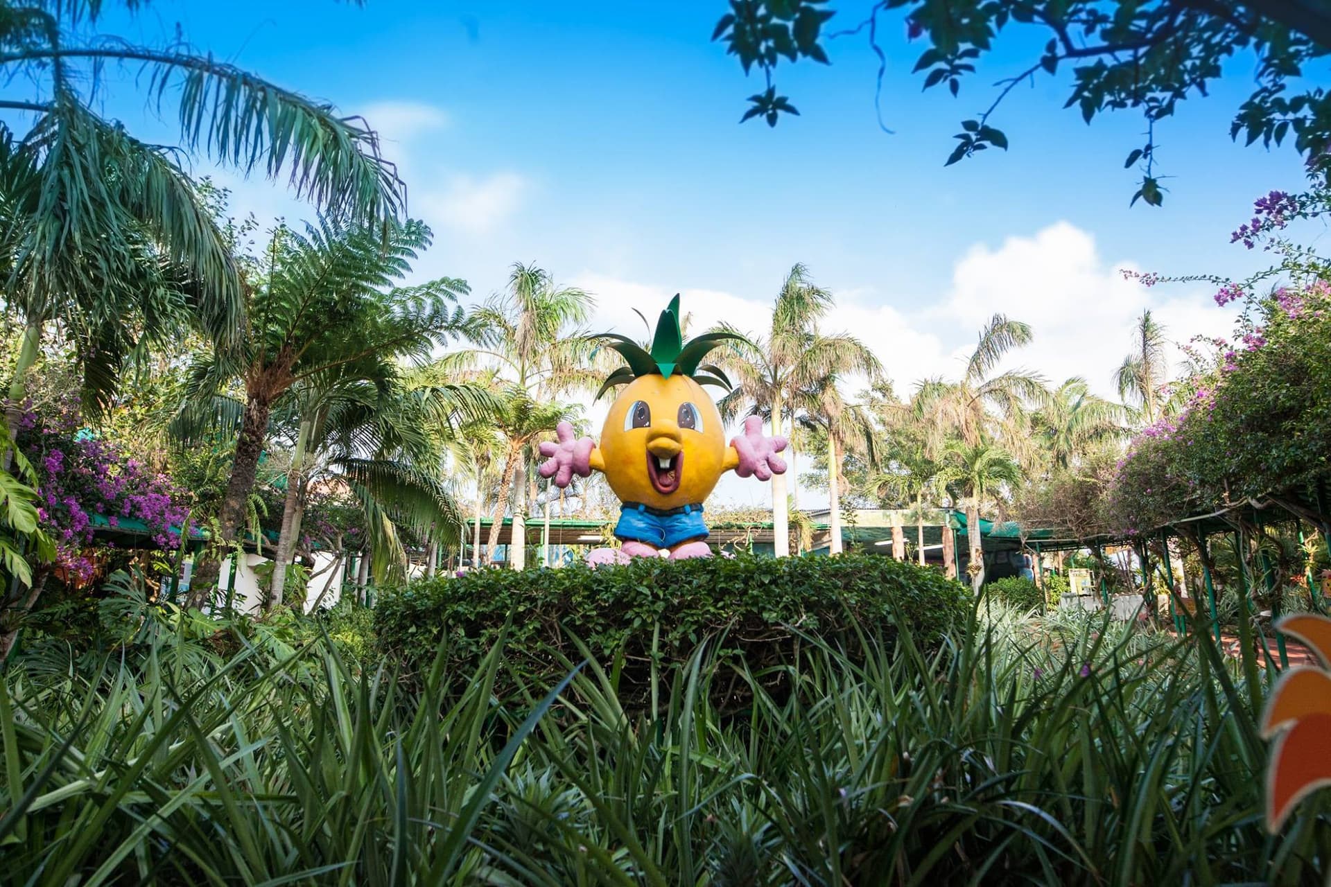 Okinawa Nago Pineapple Park - image 5
