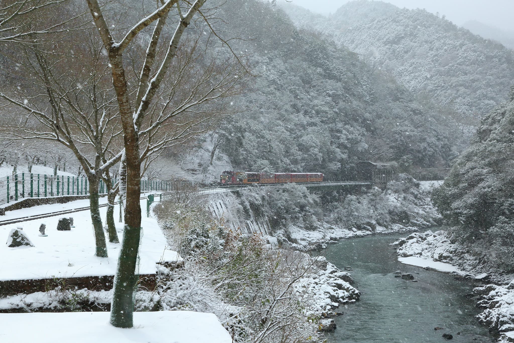 Sagano Romantic Train - image 26