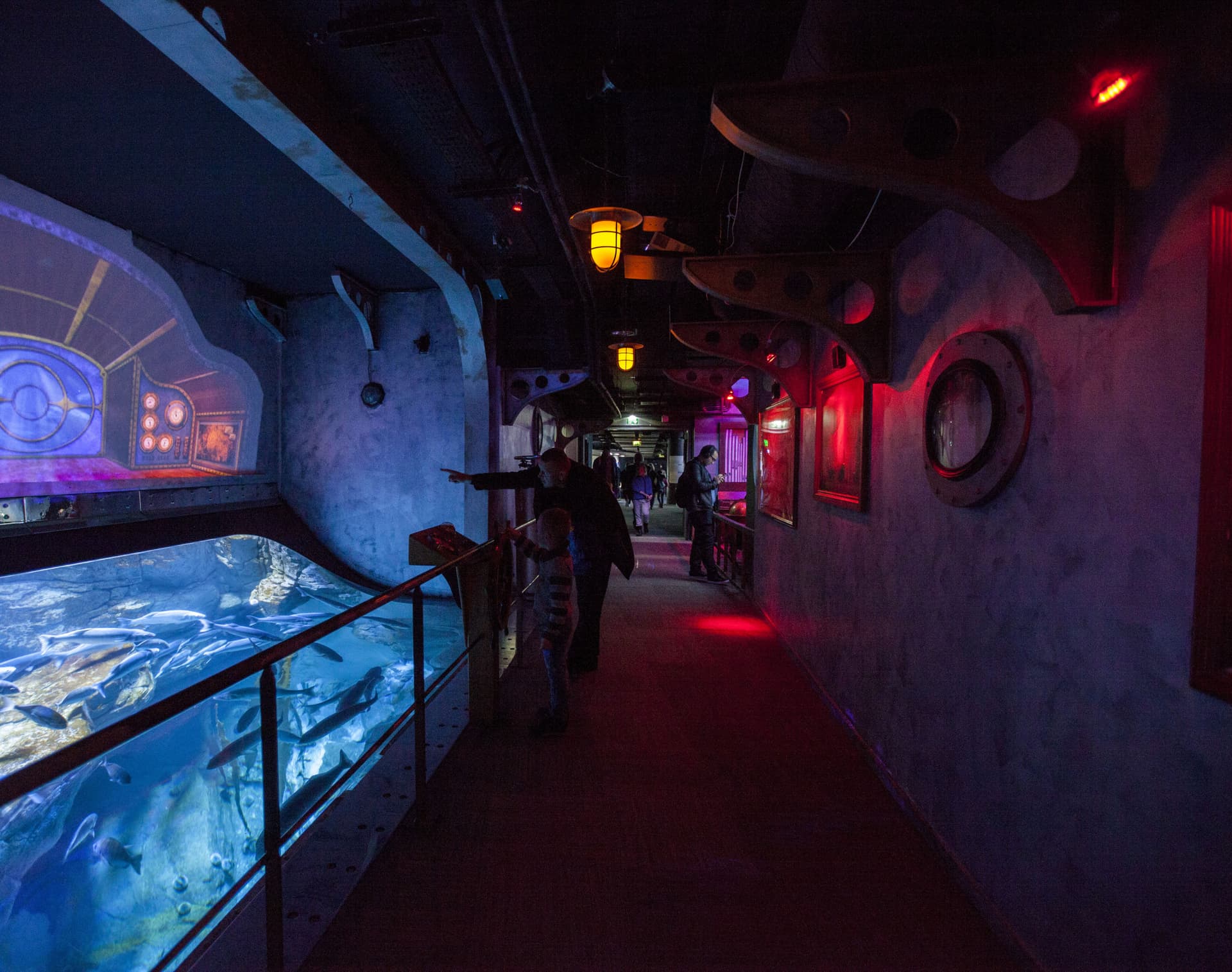 Aquarium de Paris - imagen 4