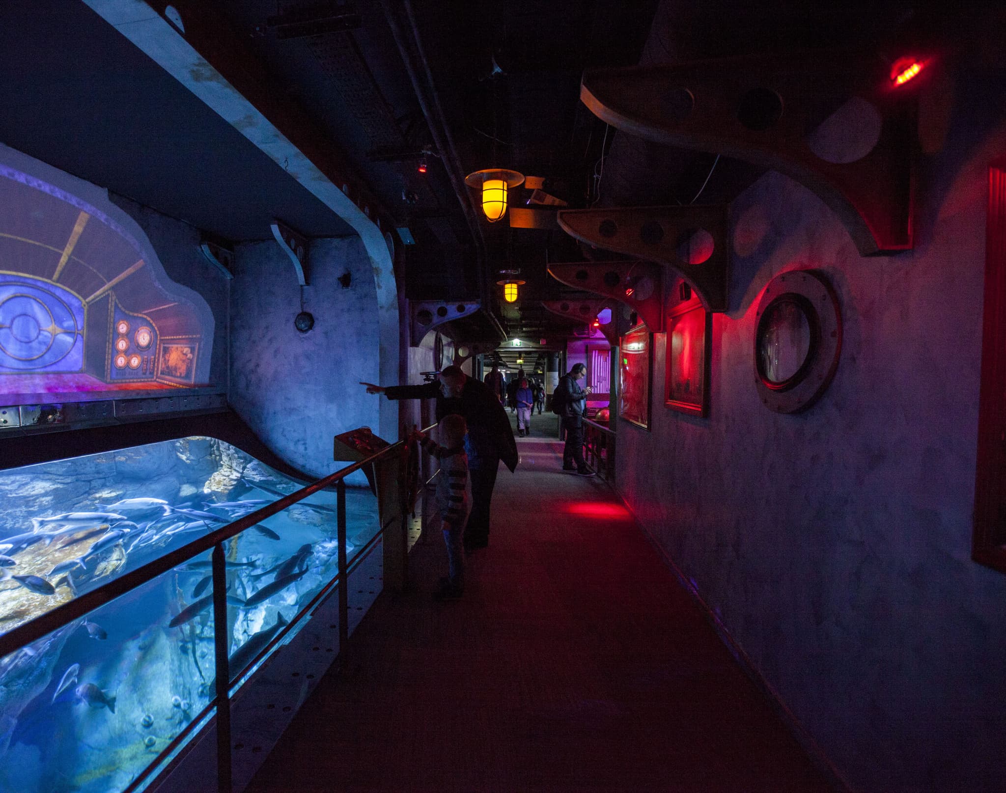 Aquarium de Paris - image 4