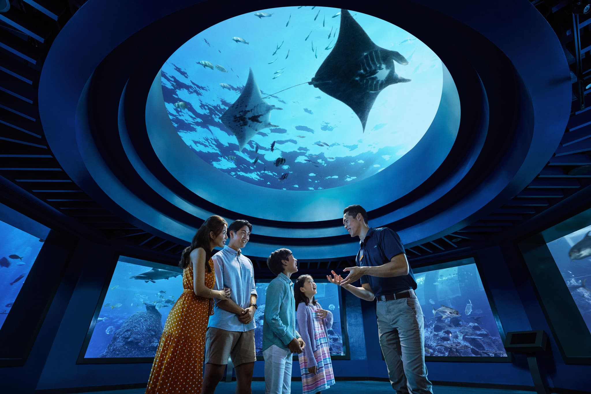 Singapore Oceanarium Ticket - image 12