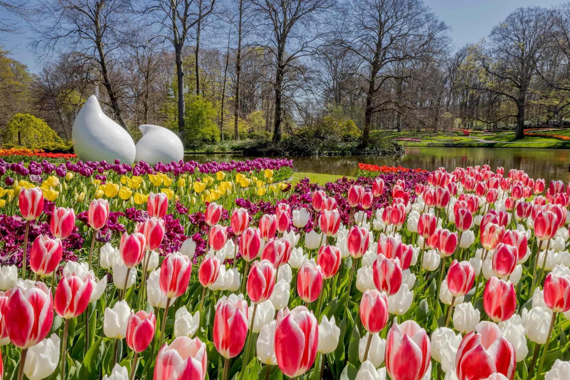 Go City Amsterdam All-Inclusive Pass: Save up to 50% on Attractions - image 6