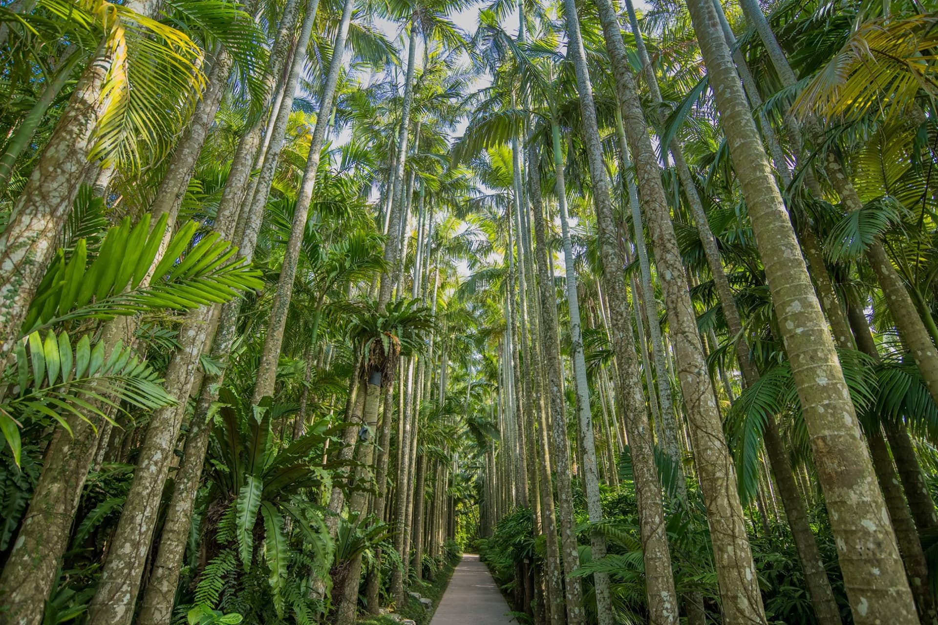 Okinawa Southeast Botanical Gardens - image 4