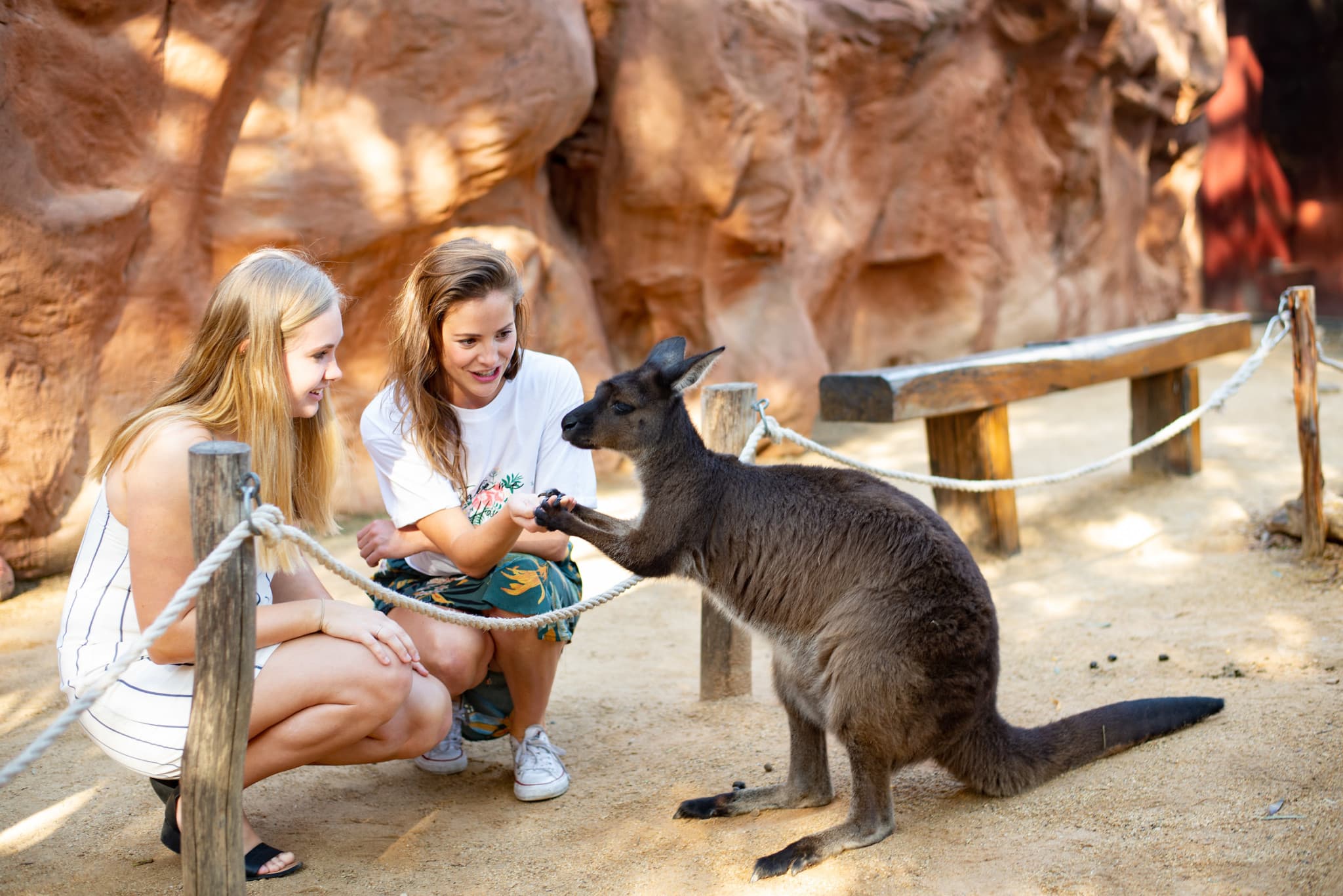 Sydney Multi-Attraction Pass - image 4