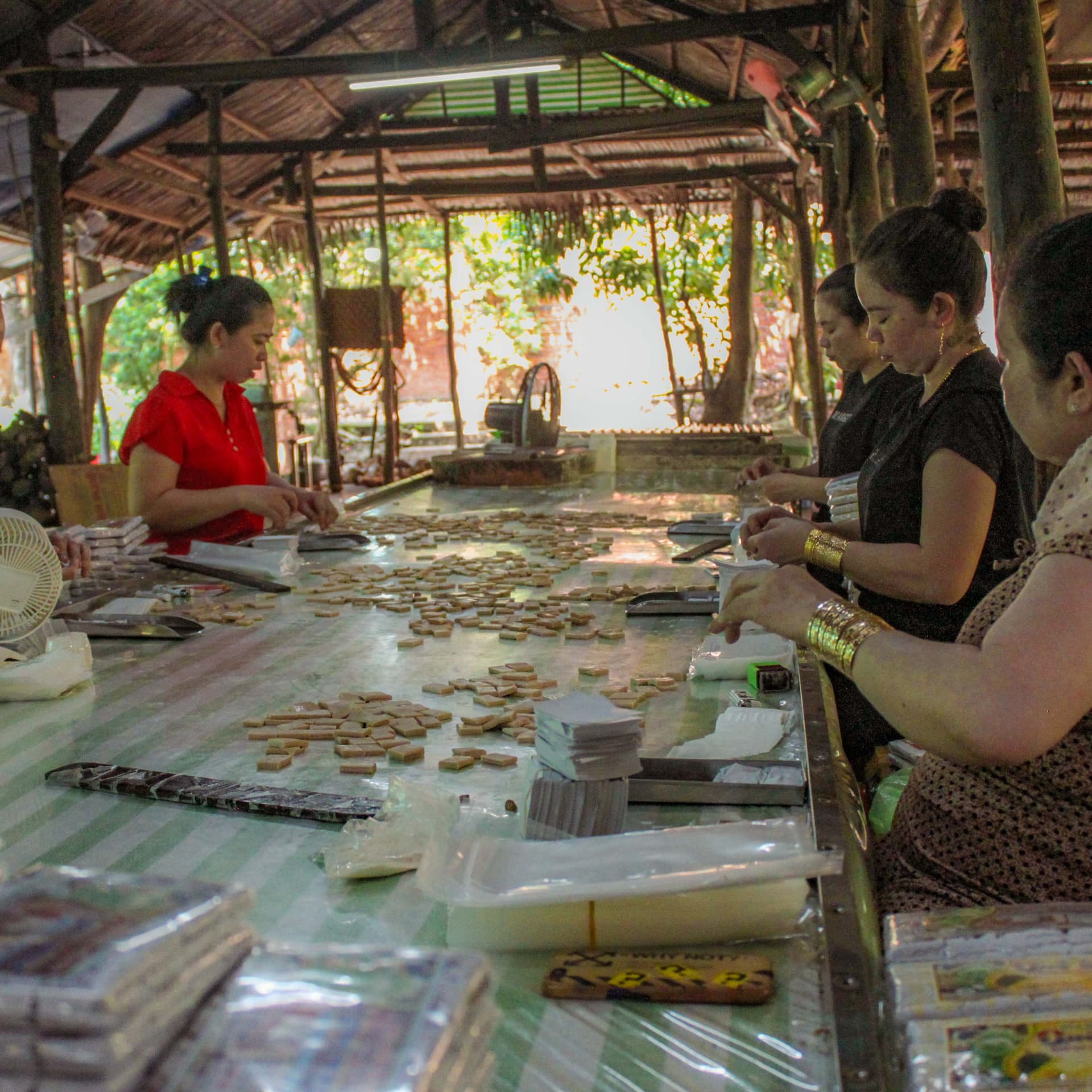 Tour de día completo por los túneles de Cu Chi y el delta del Mekong desde Ho Chi Minh - imagen 21