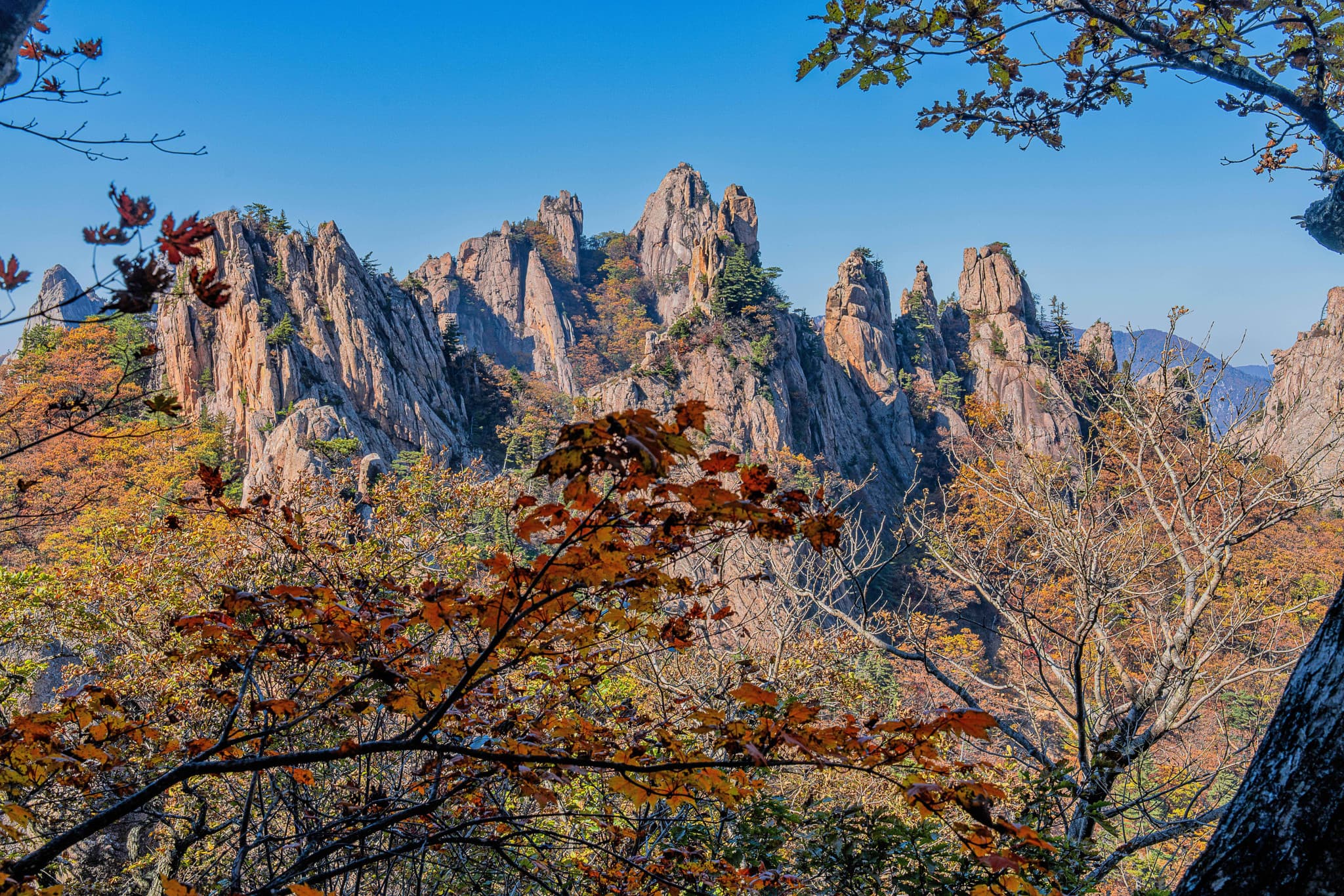 Mt. Seorak National Park Autumn Foliage One Day Tour from Seoul - image 9