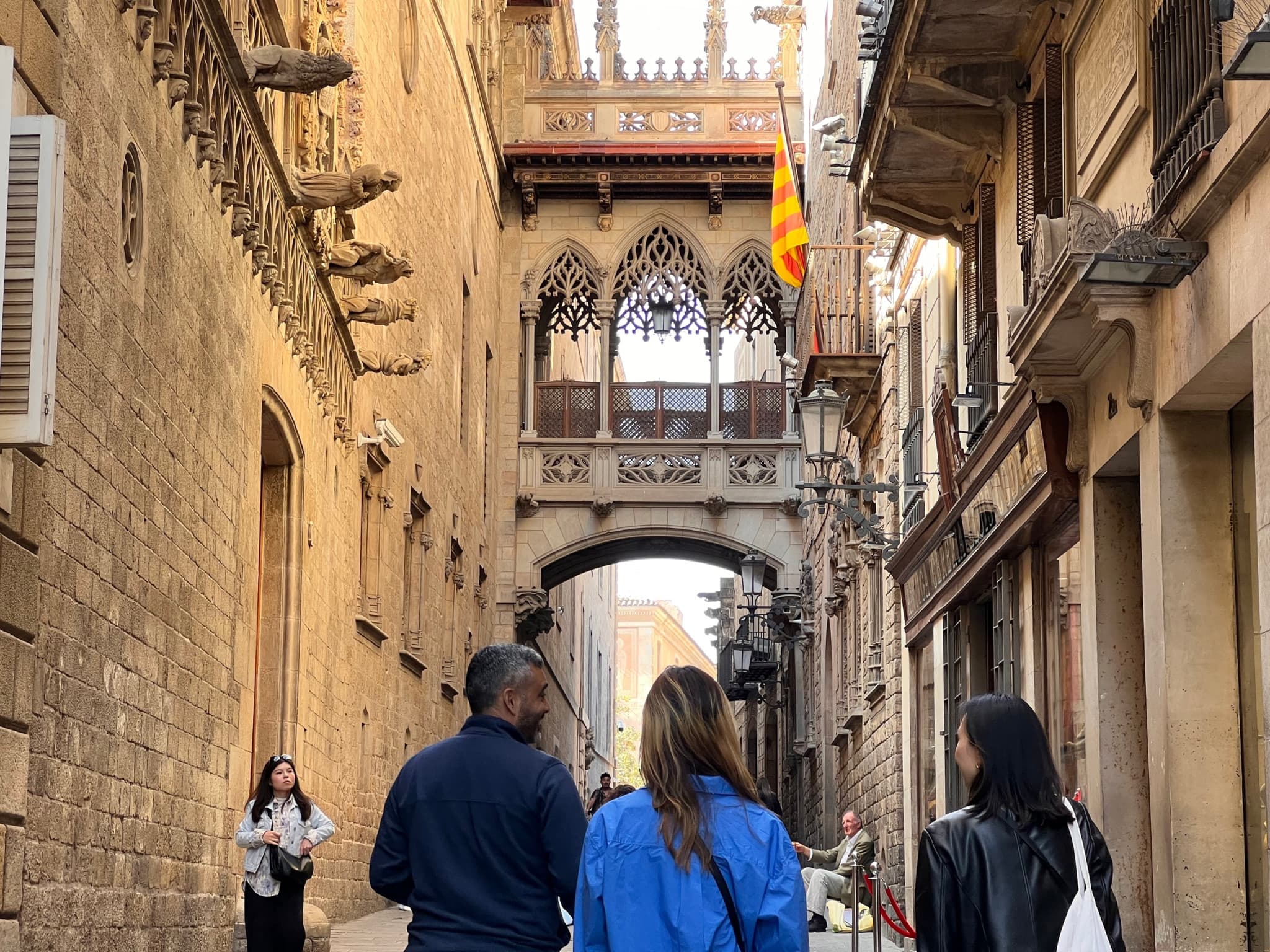 Barcelona Gothic Quarter Guided Tour in English, Mandarin, Korean - image 5