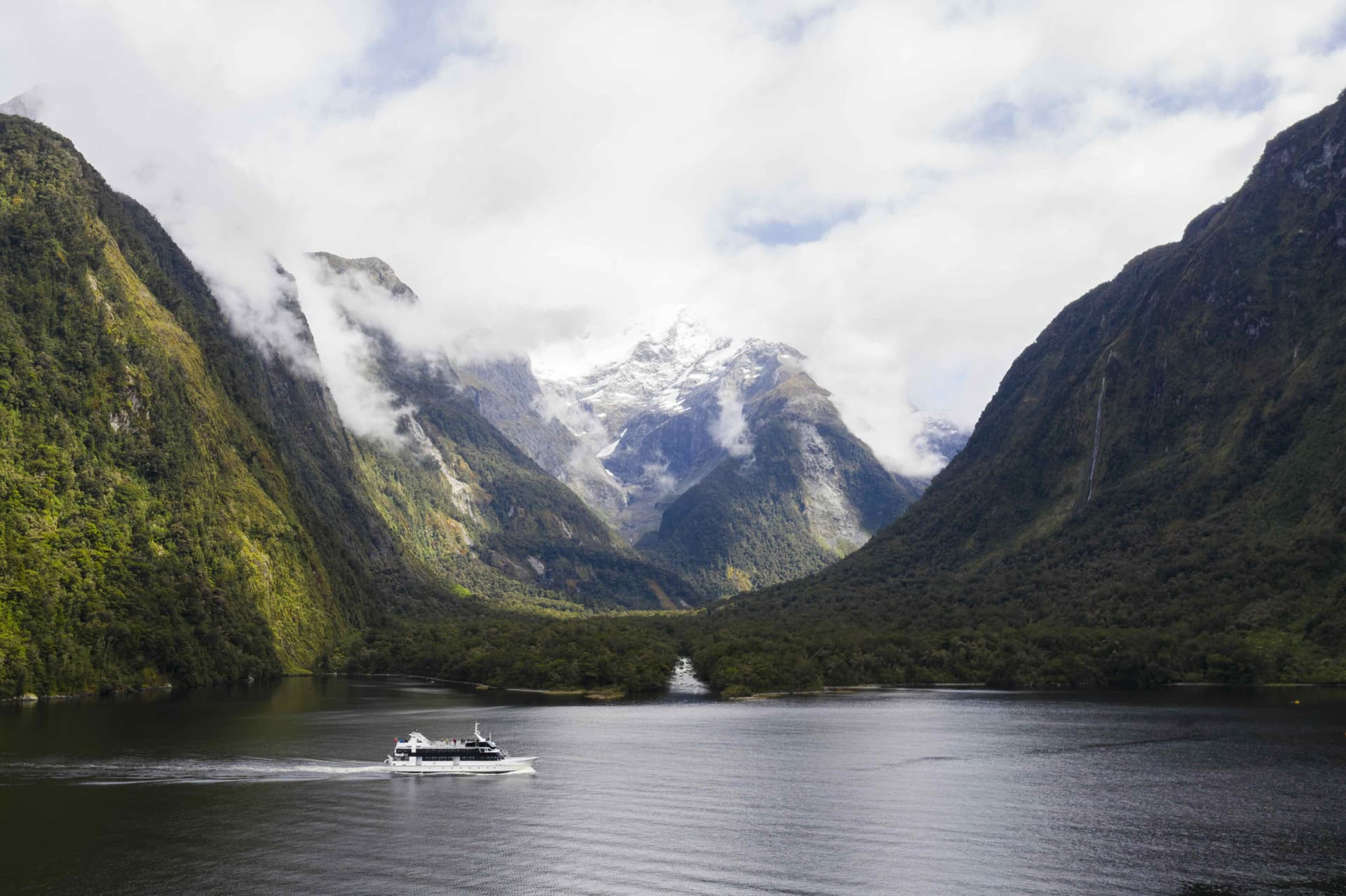 Milford Sound Coach and Cruise from Queenstown - image 3