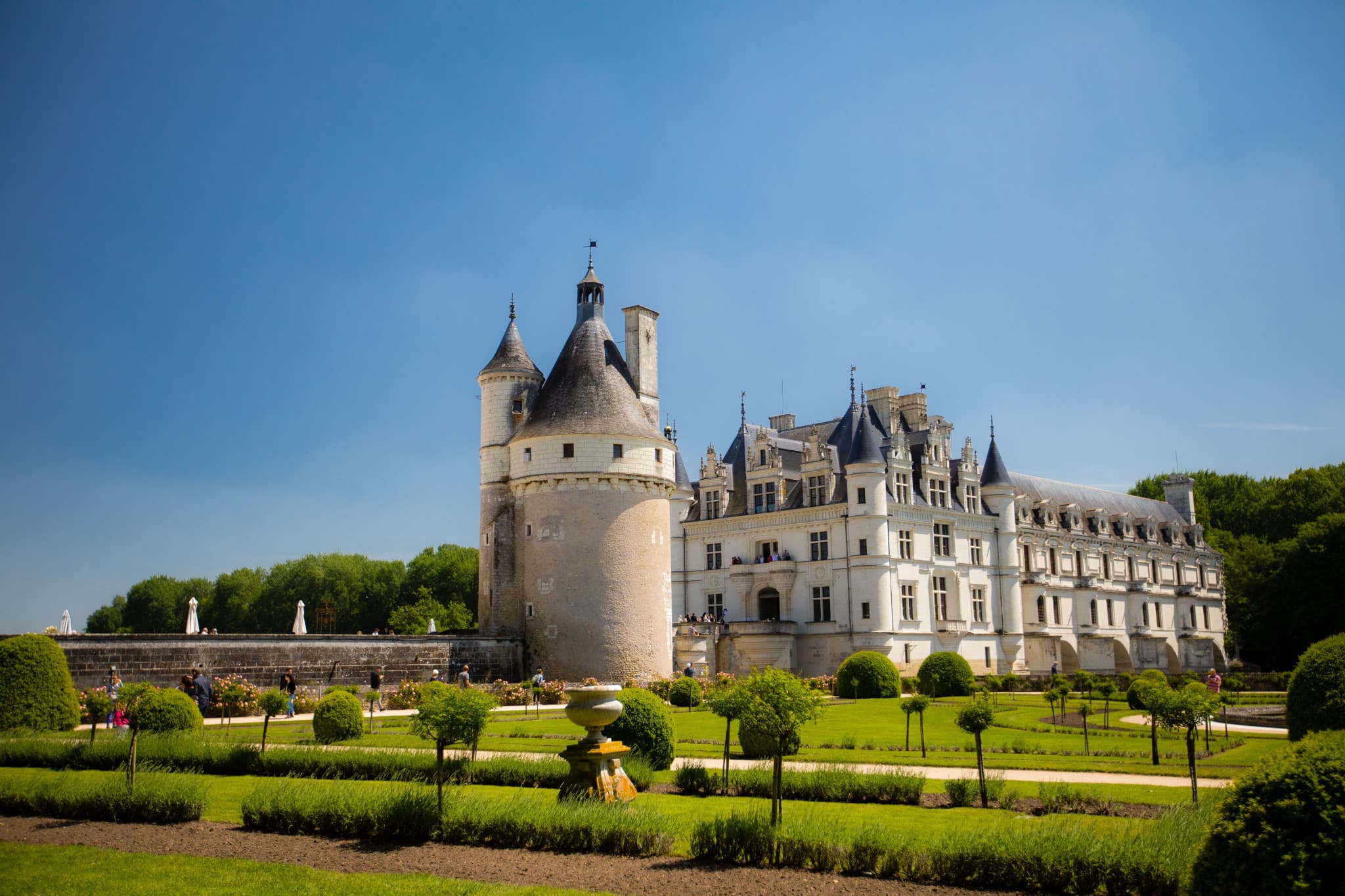 Loire Valley Tour from Paris: Chambord, Chenonceau, and Cheverny Castles - image 14