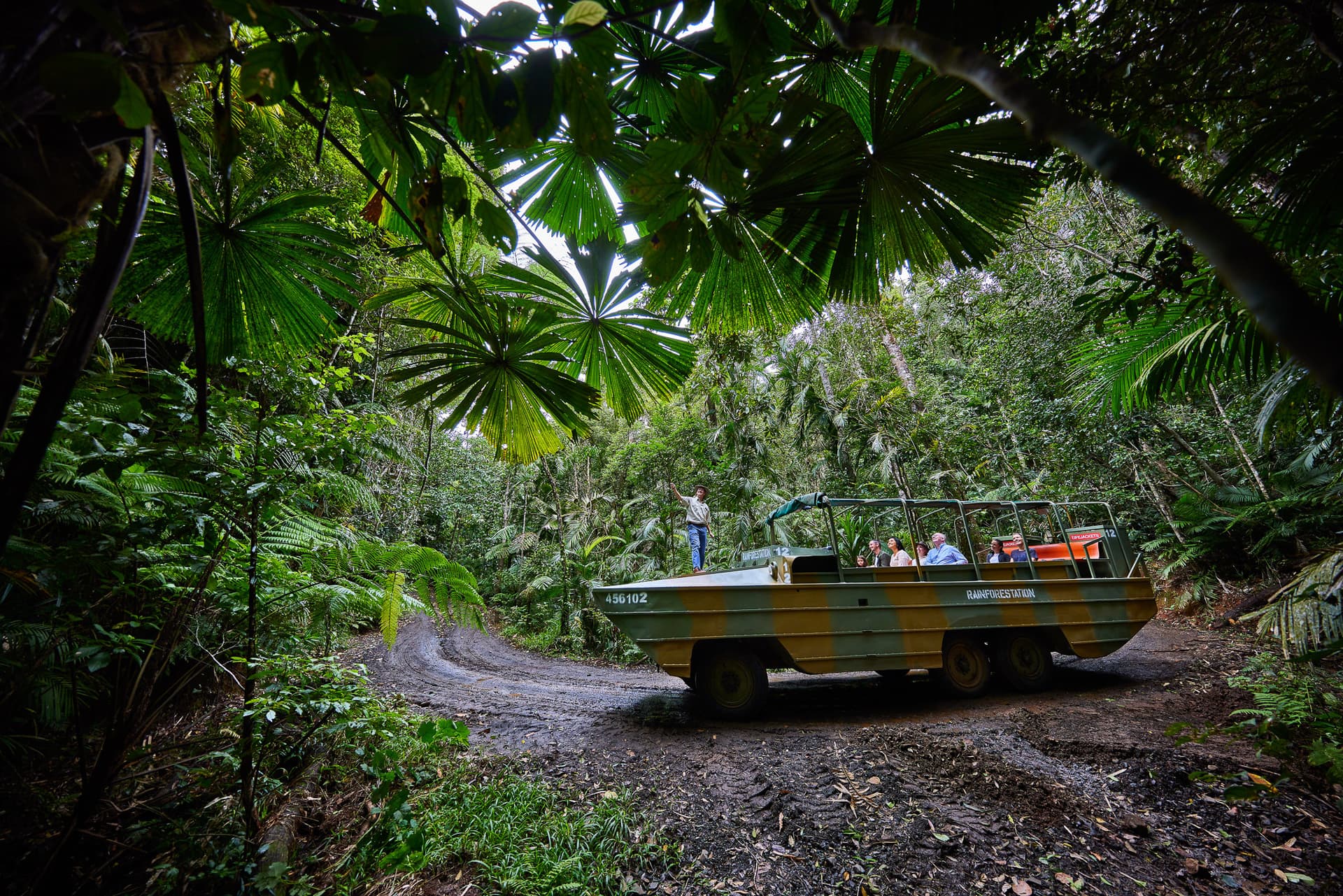 Kuranda Rainforestation Nature Park Full-Day Tour from Cairns with Skyrail Rainforest Cableway - image 3