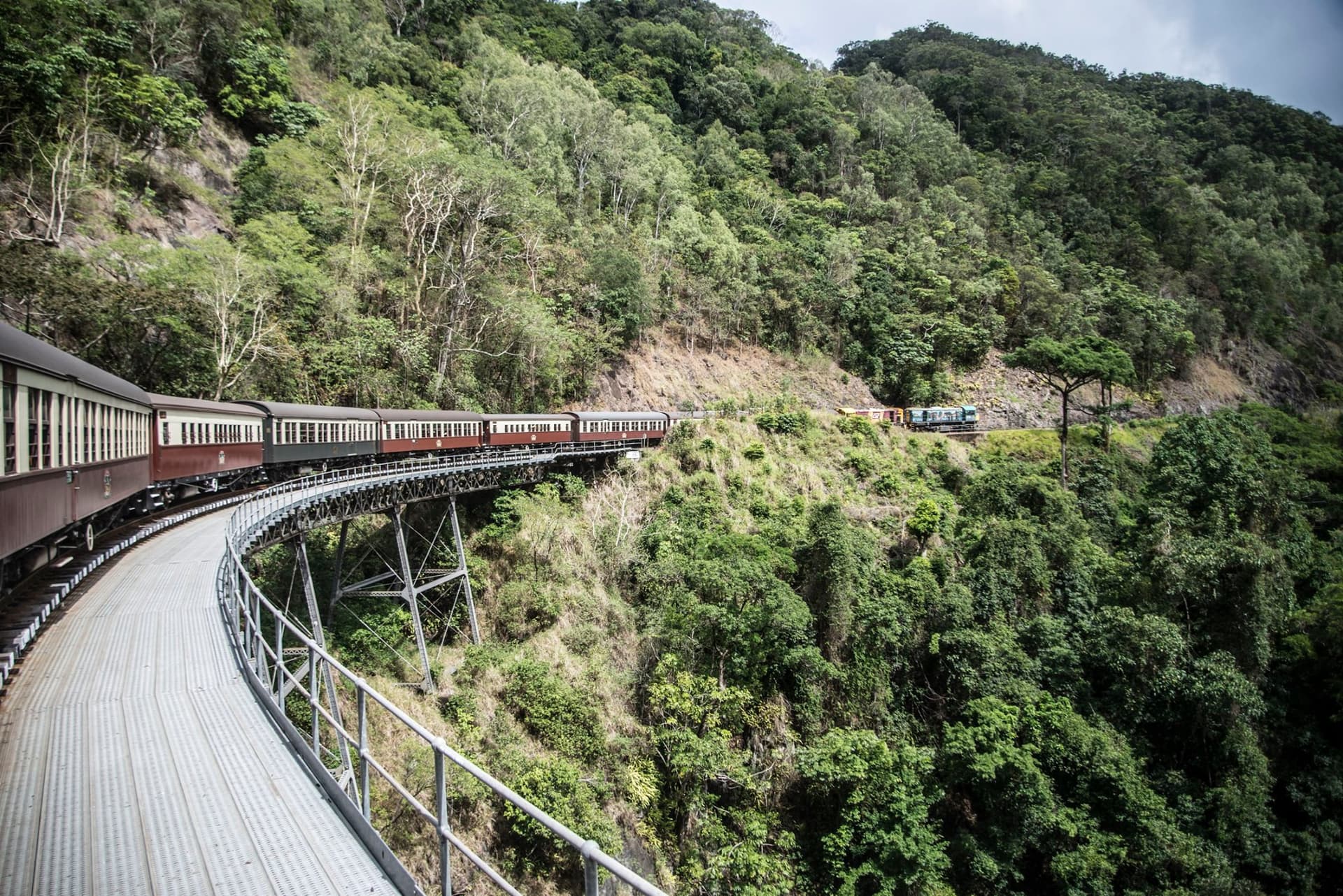 Full-Day Kuranda Tour with Skyrail Rainforest Cableway and Kuranda Scenic Railway - image 5