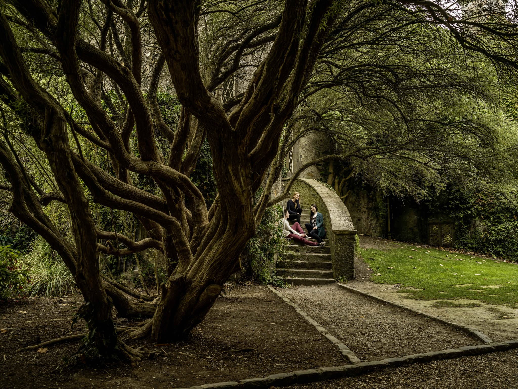 Go City Dublin All-Inclusive Pass: Save up to 50% on Attractions - image 25