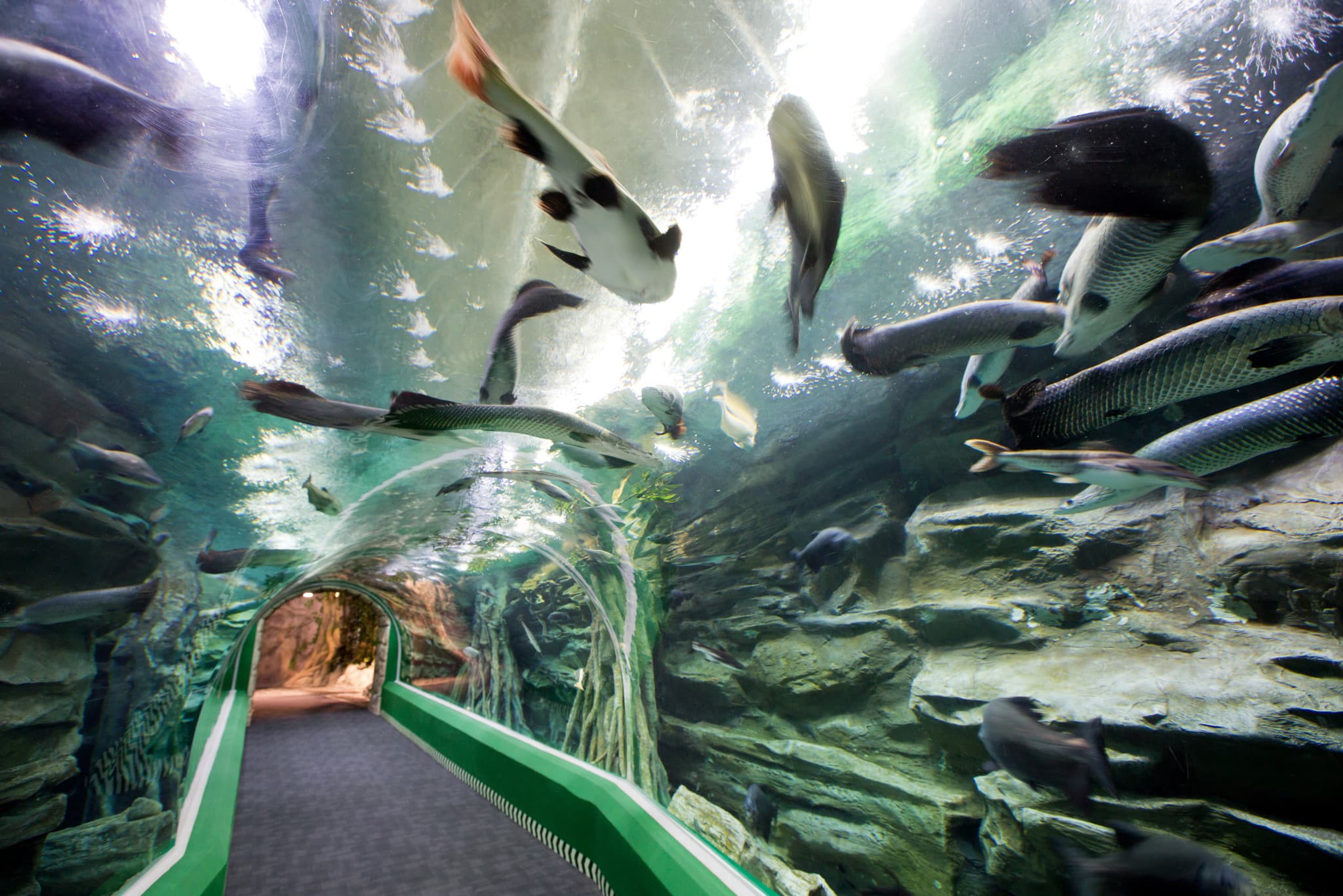 COMBO: Lotte World Adventure Seoul + Lotte World Aquarium + Seoul Sky Observatory Tickets - image 6