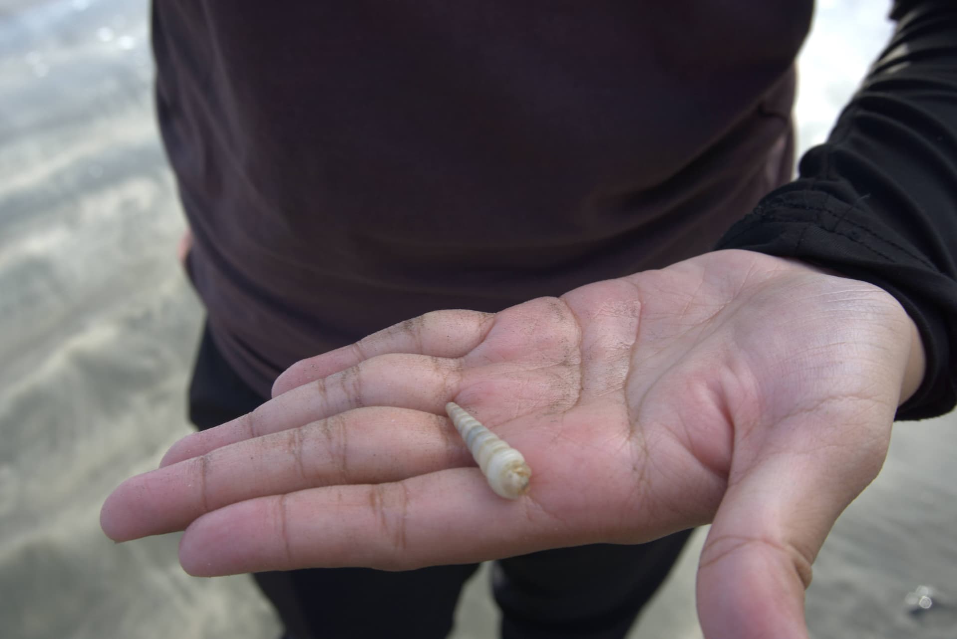 Desaru Beach and Tide Pool Walk - image 19