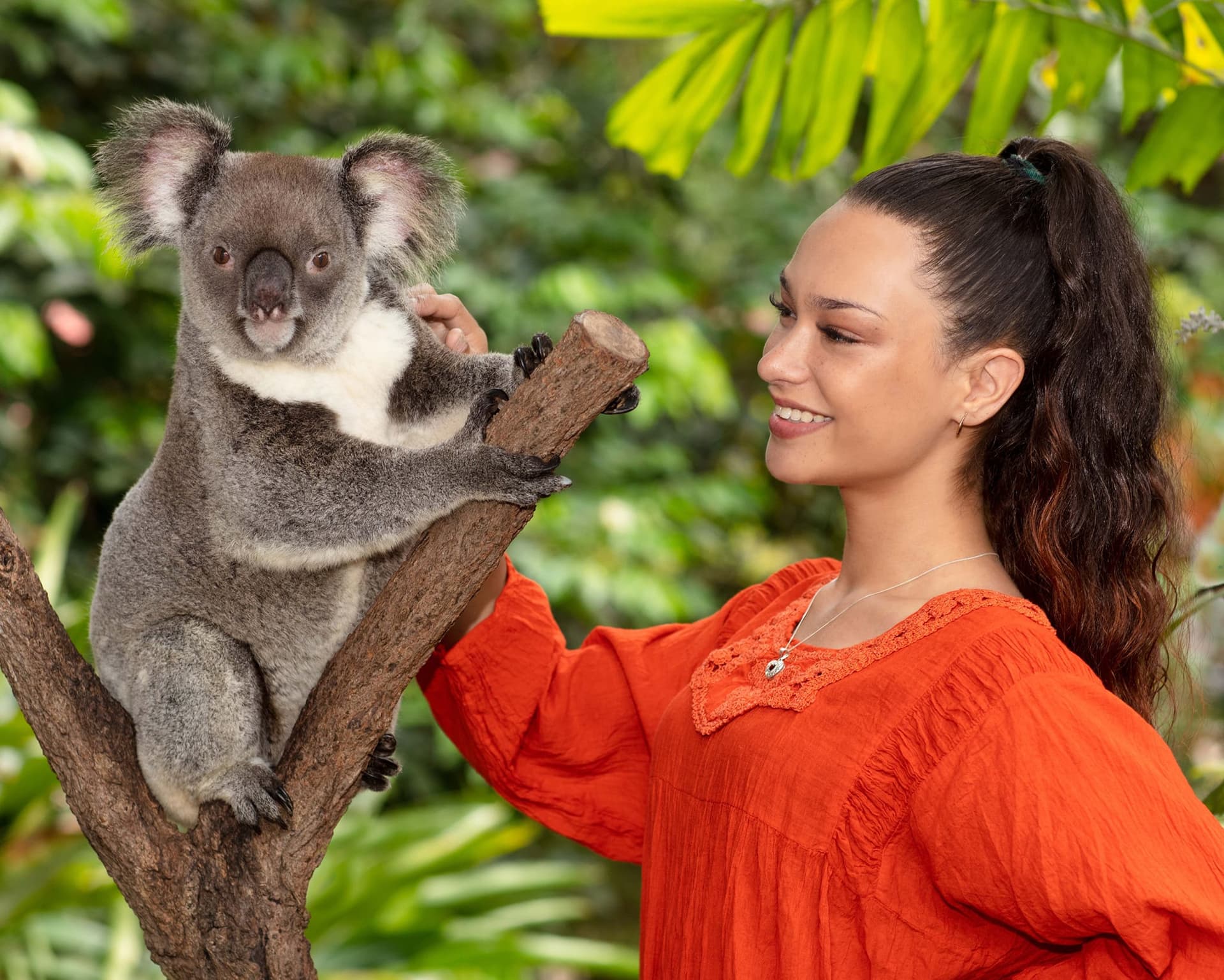 Kuranda Koala Gardens - 이미지 6