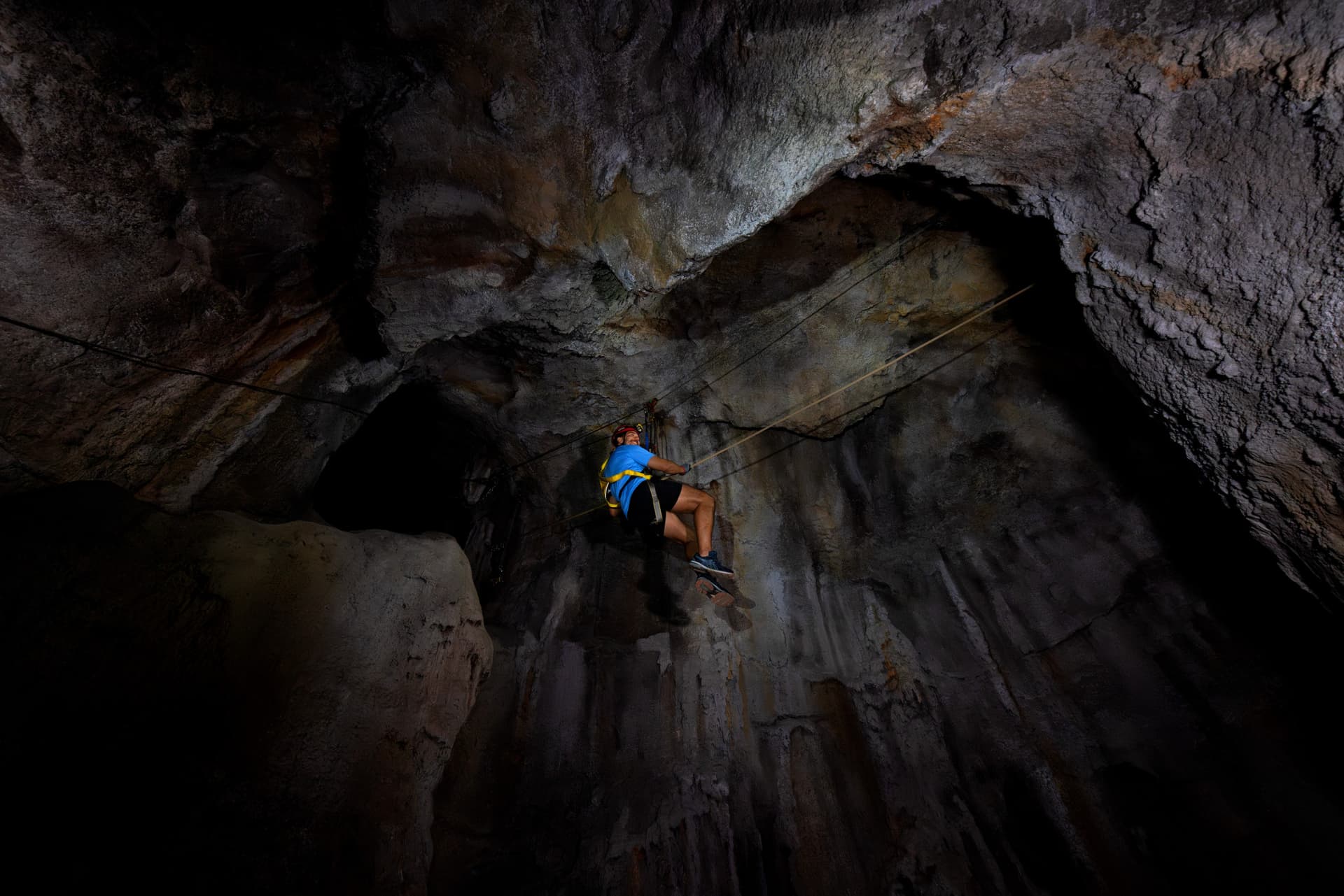 Mandai Destination Pass: Visit Up to 6 Attractions in 1 or 5 Days - image 23