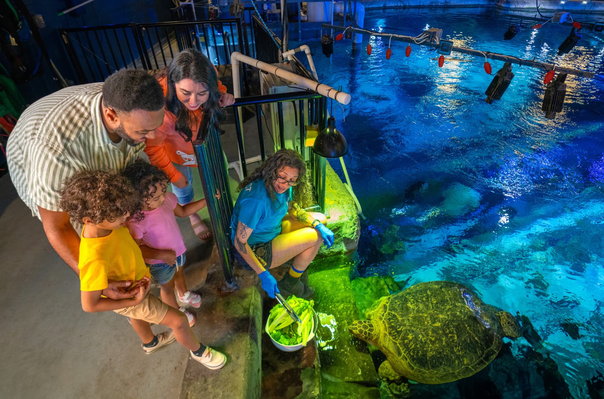 SEA LIFE Orlando Aquarium Ticket - image 7