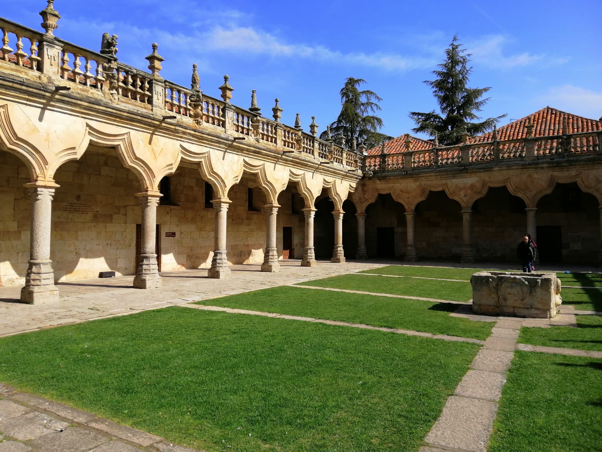 Salamanca and Avila Tour from Madrid - image 5