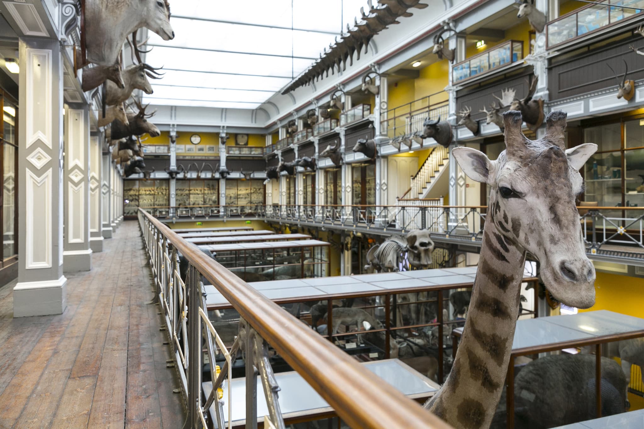 Go City Dublin All-Inclusive Pass: Save up to 50% on Attractions - image 38