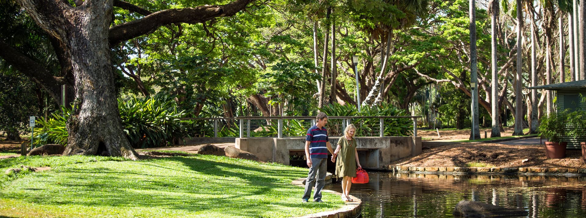 Darwin Museums and Botanic Garden Tour - image 4