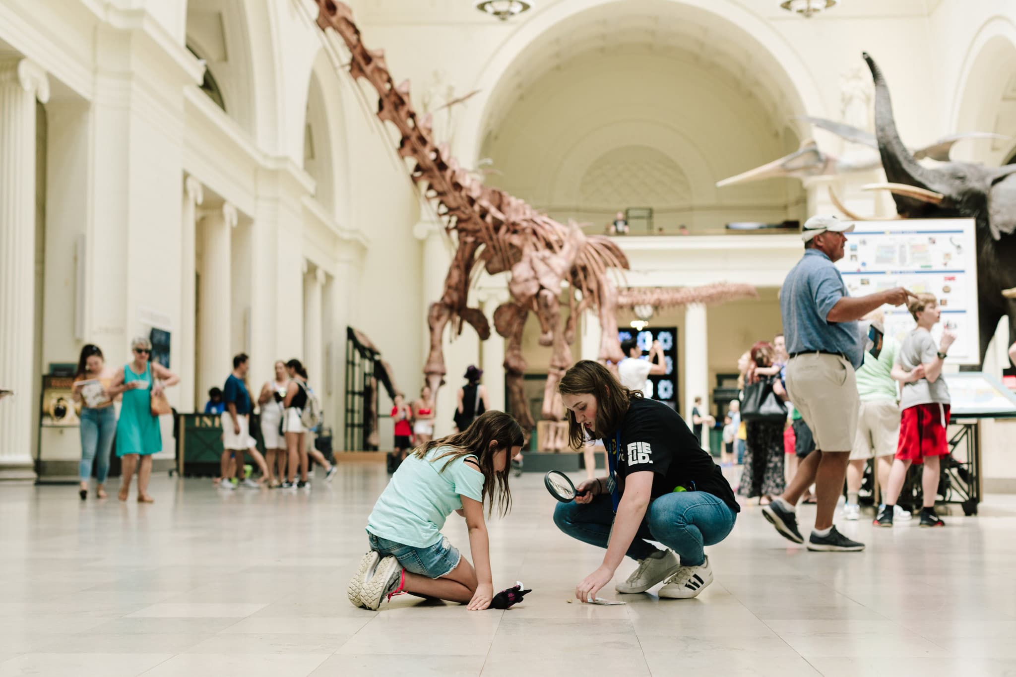 Go City Chicago Essentials Pass: 3 Attractions - image 14
