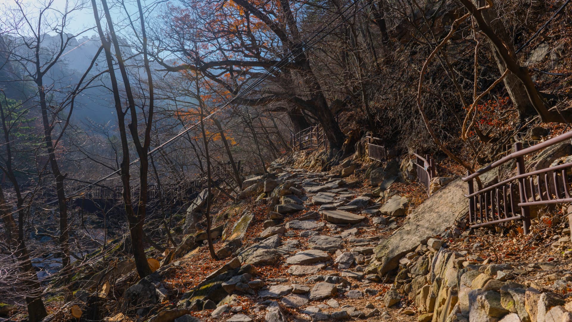 Mount Seorak and Naksansa Temple Tour from Seoul - image 3