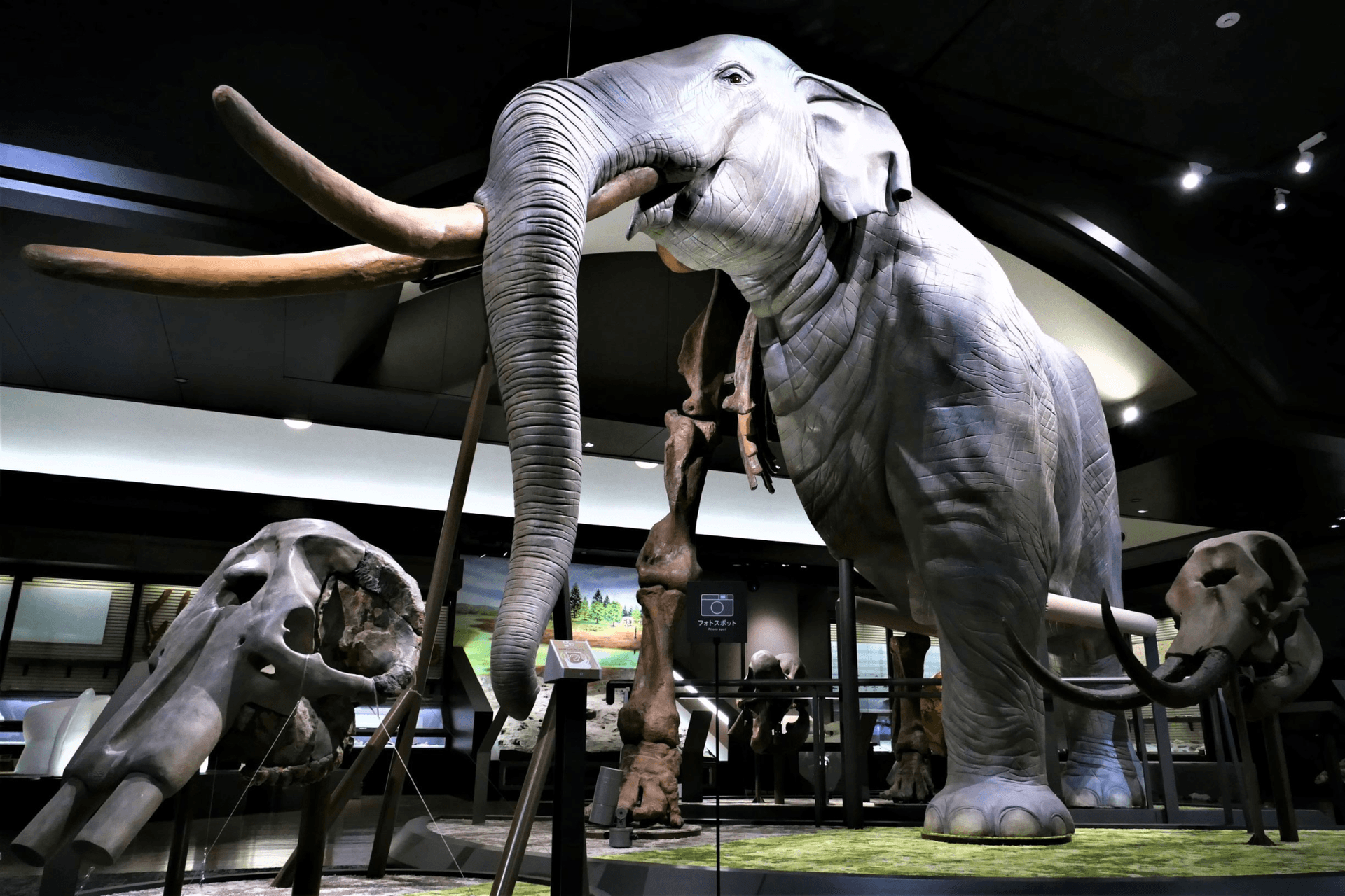 Lake Biwa Museum Ticket - main image