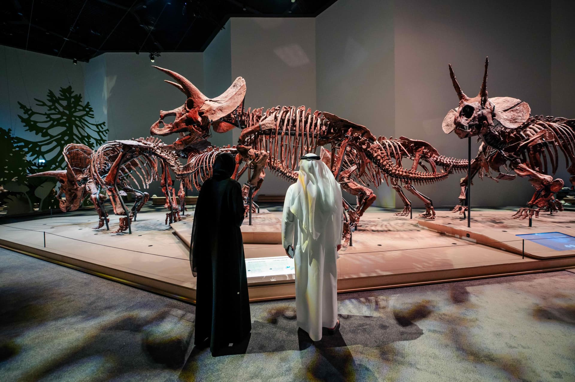 Museum Pass: Zayed National Museum + Natural History Museum + Louvre Abu Dhabi Tickets - image 6