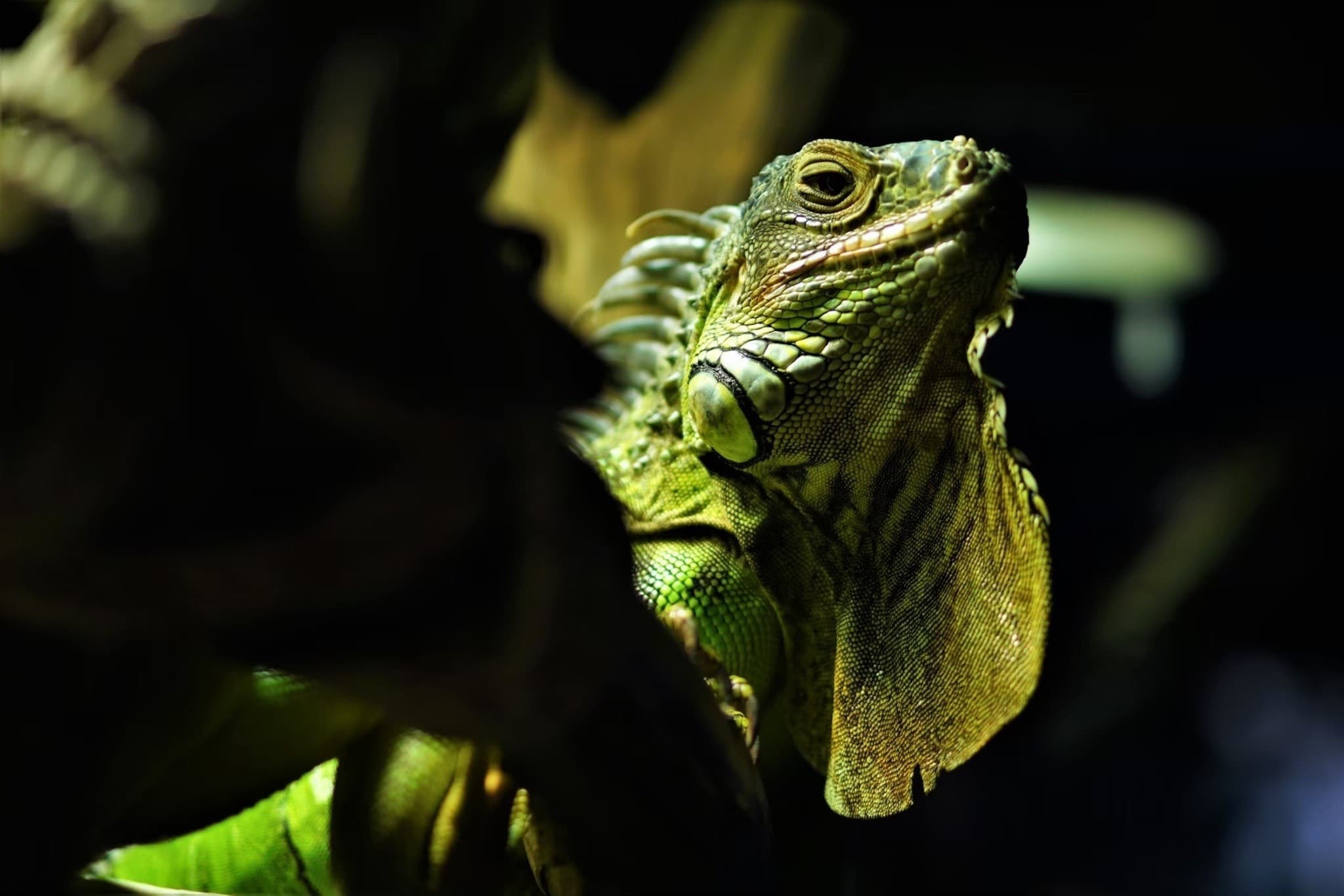 Aquaria Phuket - image 33