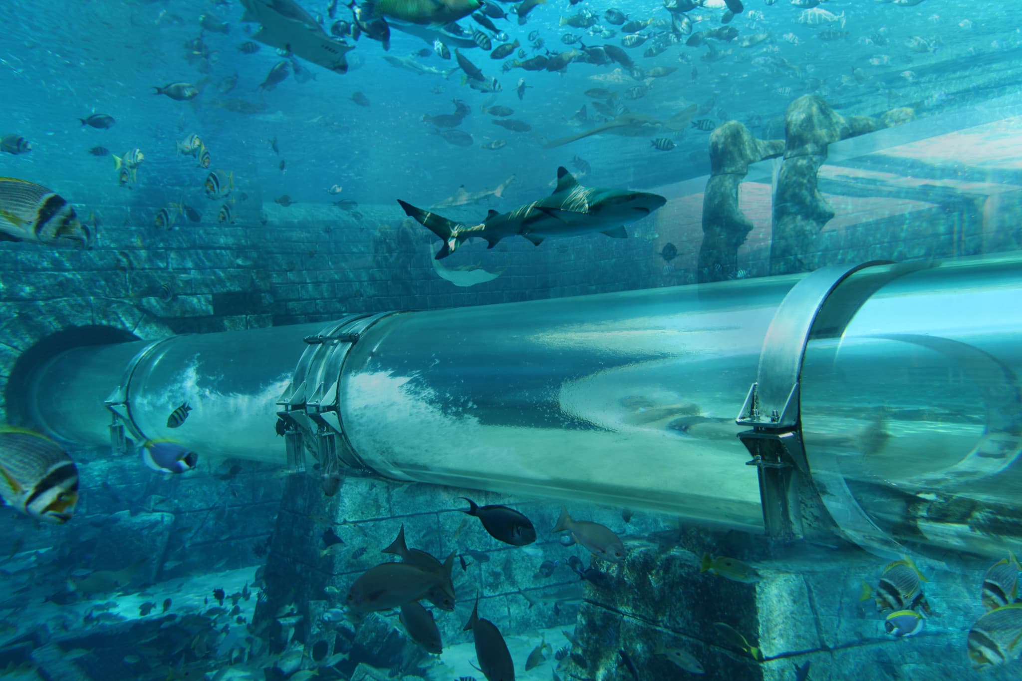 Atlantis Dubai Ticket - image 7