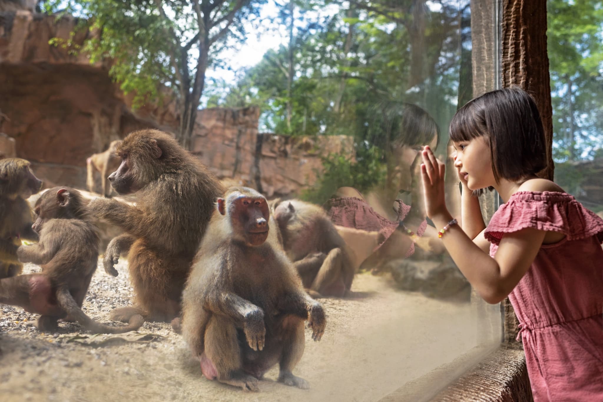 Singapore Zoo Ticket - image 8