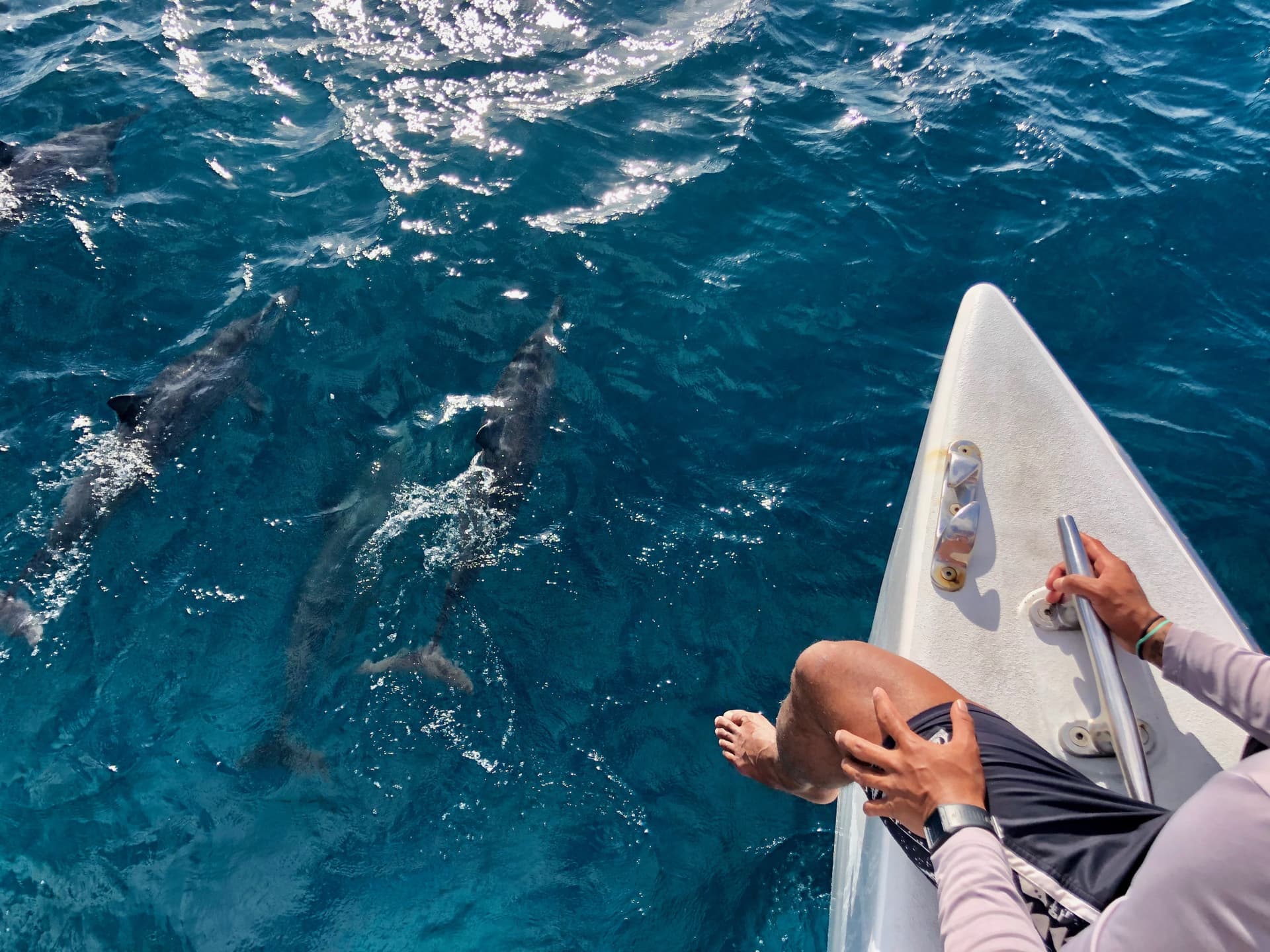 Go City Oahu Explorer Pass: Save up to 50% on Attractions - image 9