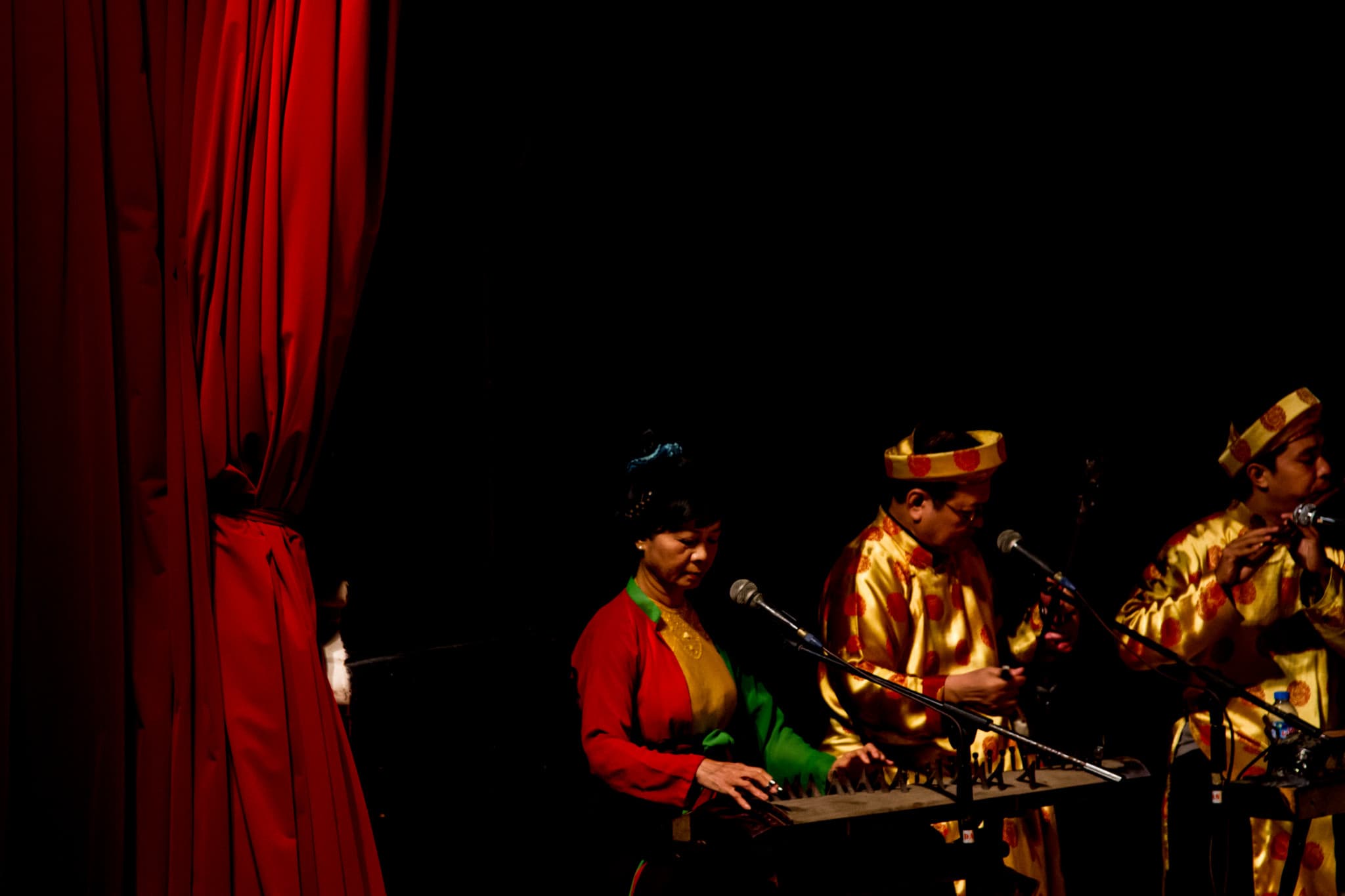 Traditional Vietnamese Water Puppet Show with Dinner in Ho Chi Minh - image 12