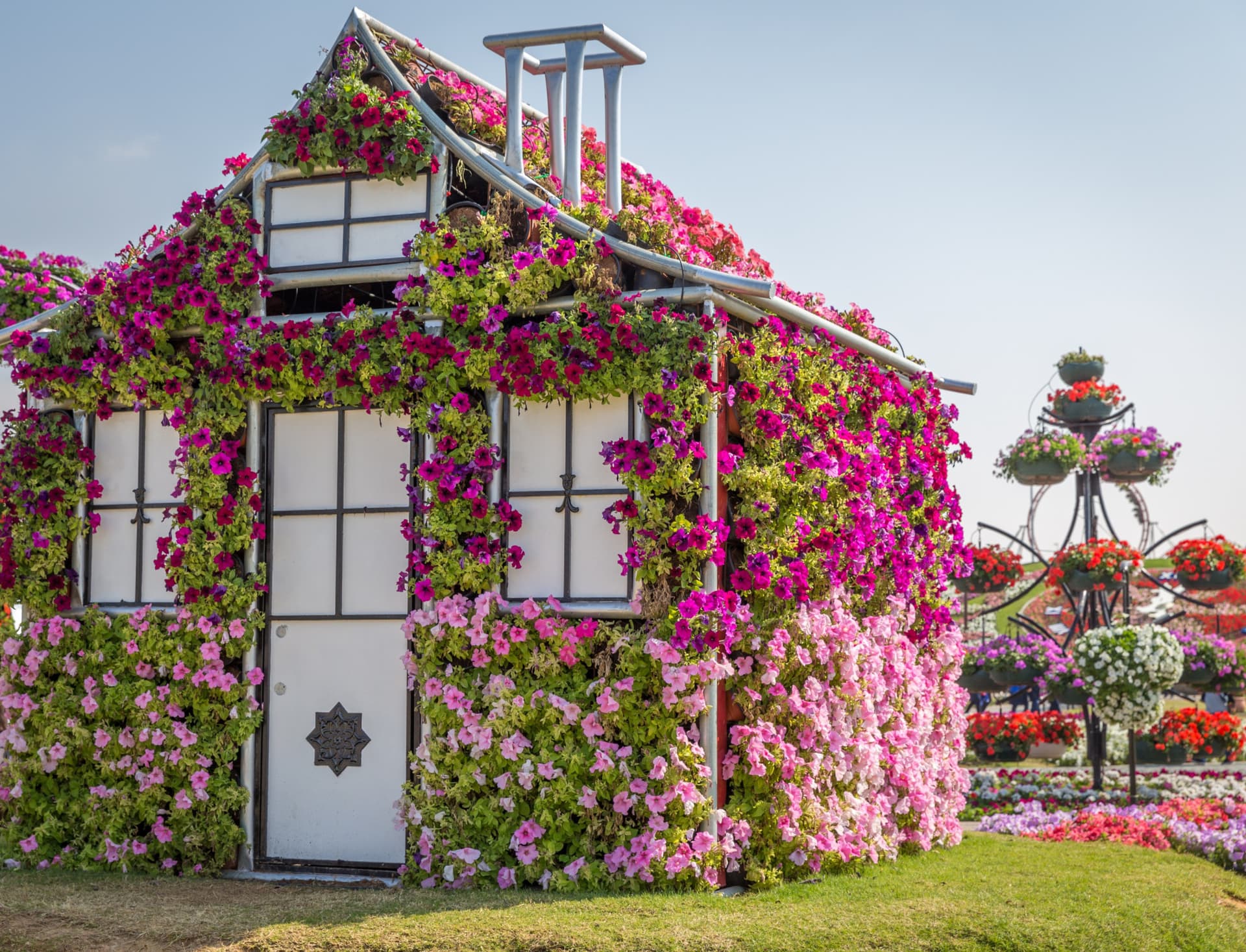 Entrada para Dubai Miracle Garden - imagen 5