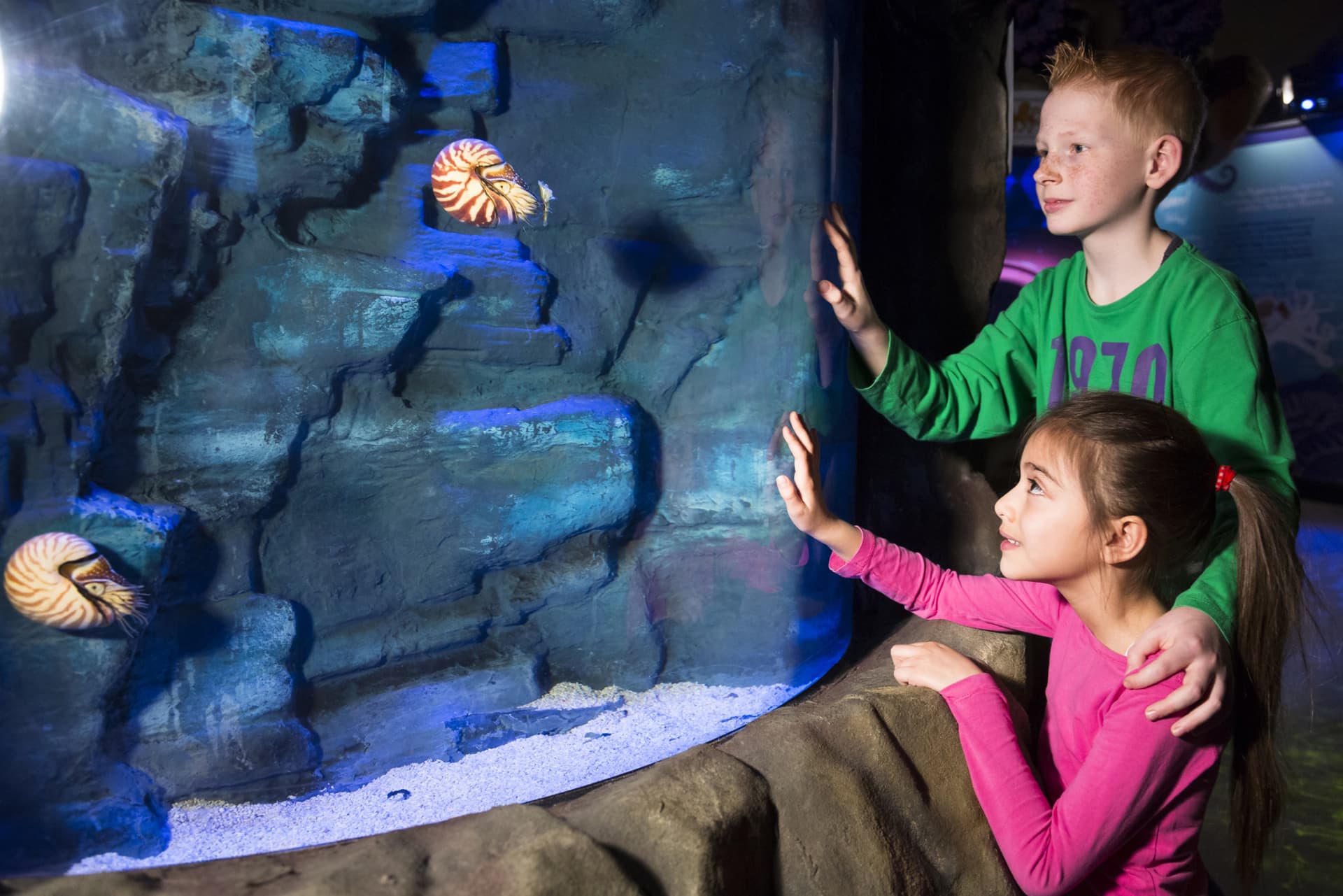 SEA LIFE Hannover Aquarium Ticket - image 6