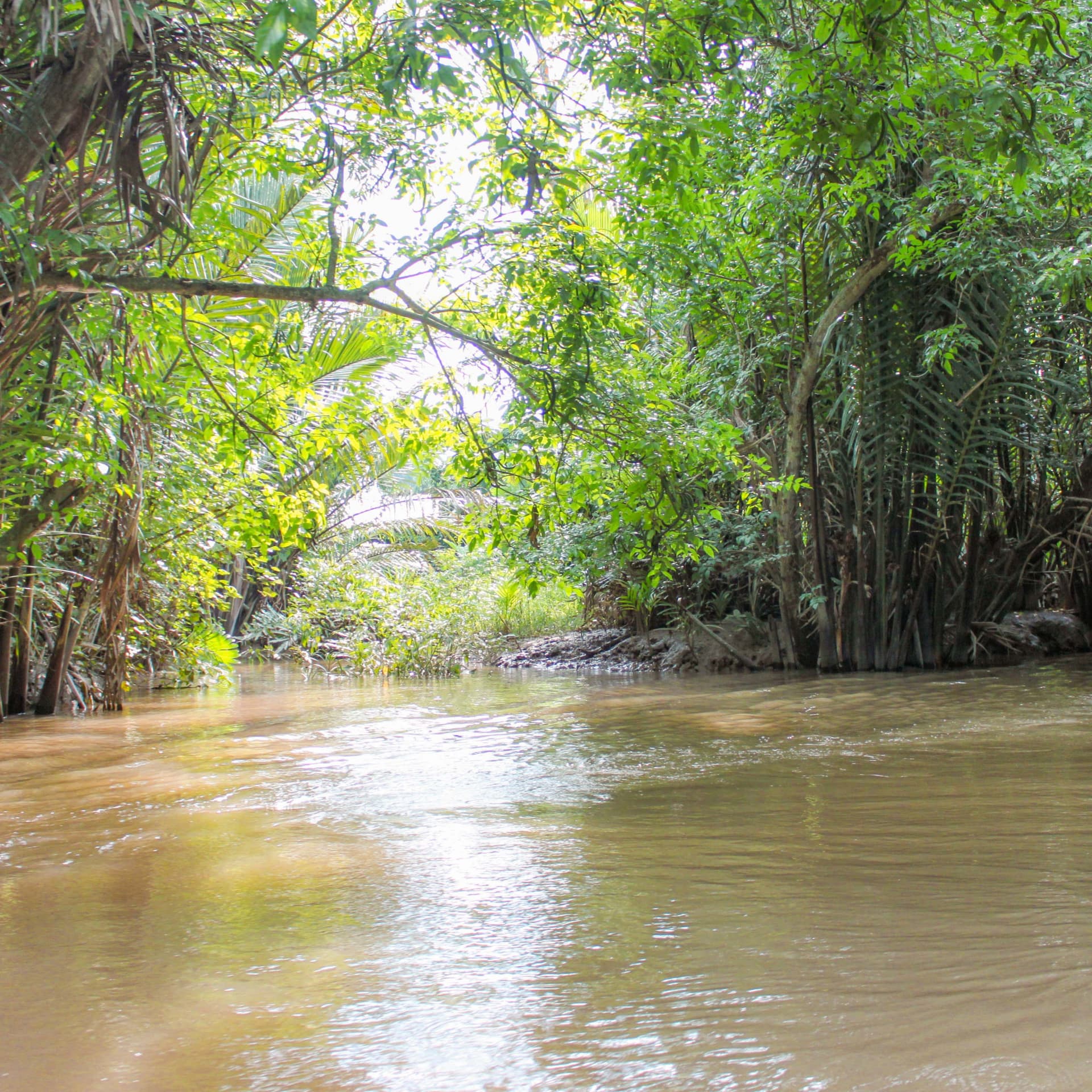 Tour de día completo por los túneles de Cu Chi y el delta del Mekong desde Ho Chi Minh - imagen 15
