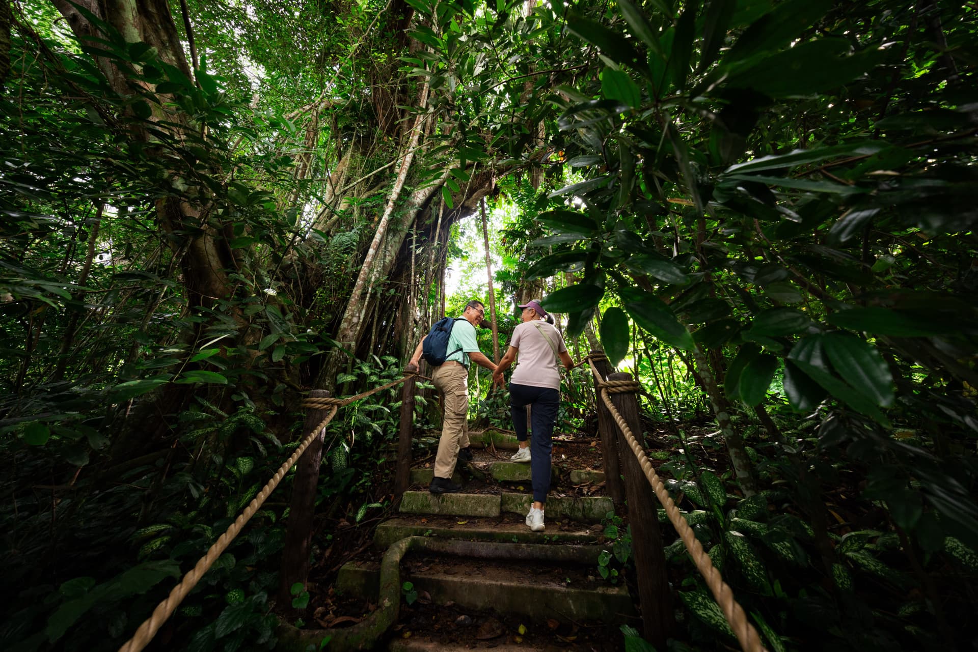 Mandai Destination Pass: Visit Up to 6 Attractions in 1 or 5 Days - image 22