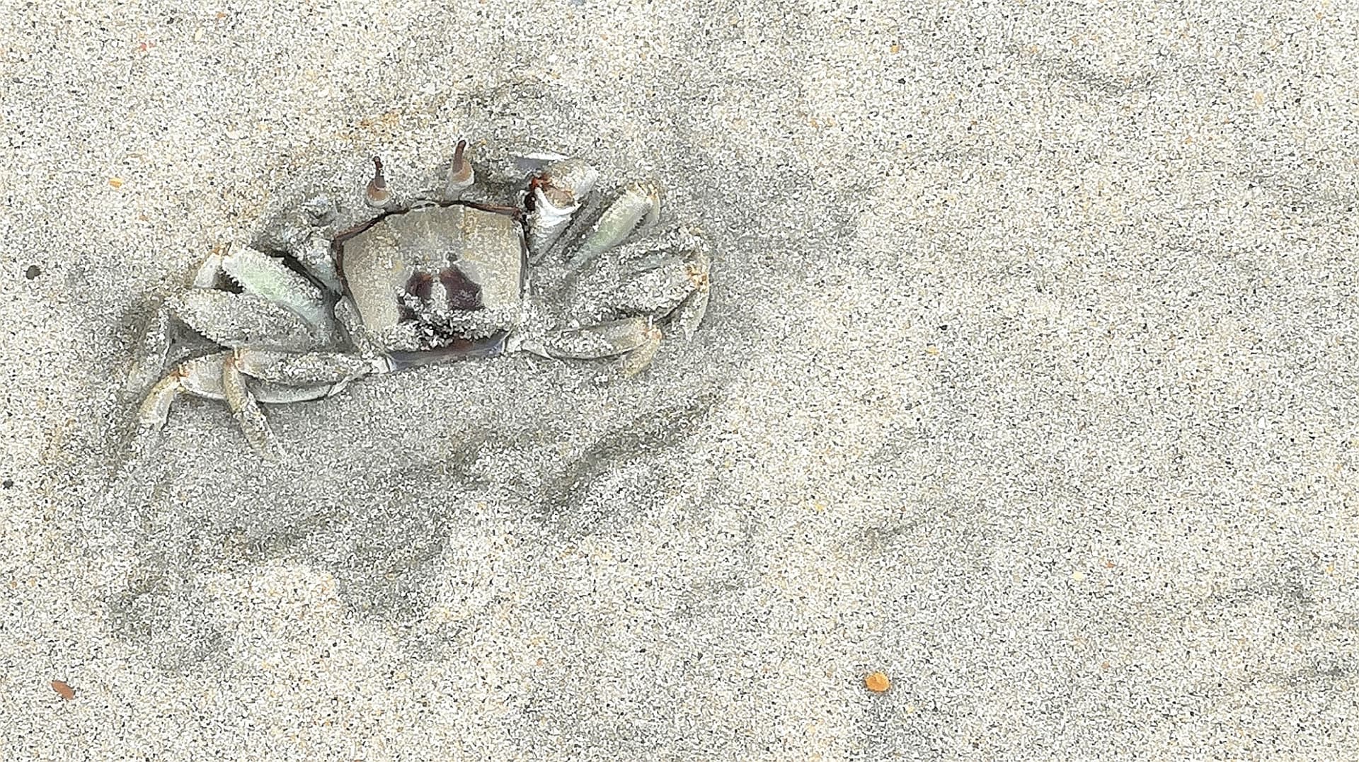 Desaru Beach and Tide Pool Walk - image 3