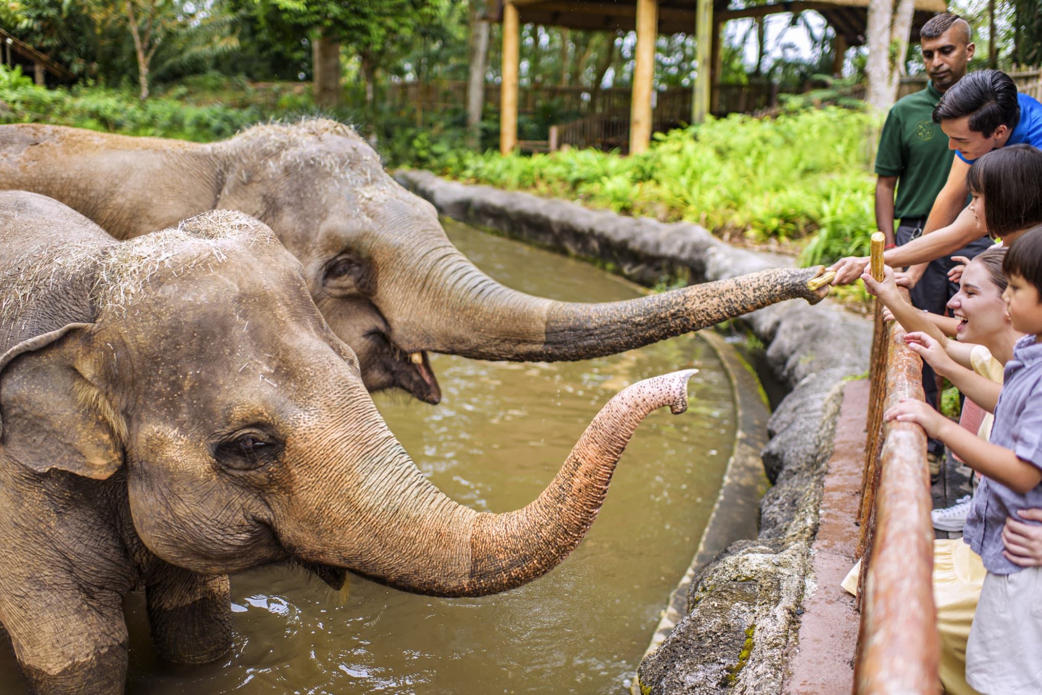 Singapore Zoo Ticket - image 5