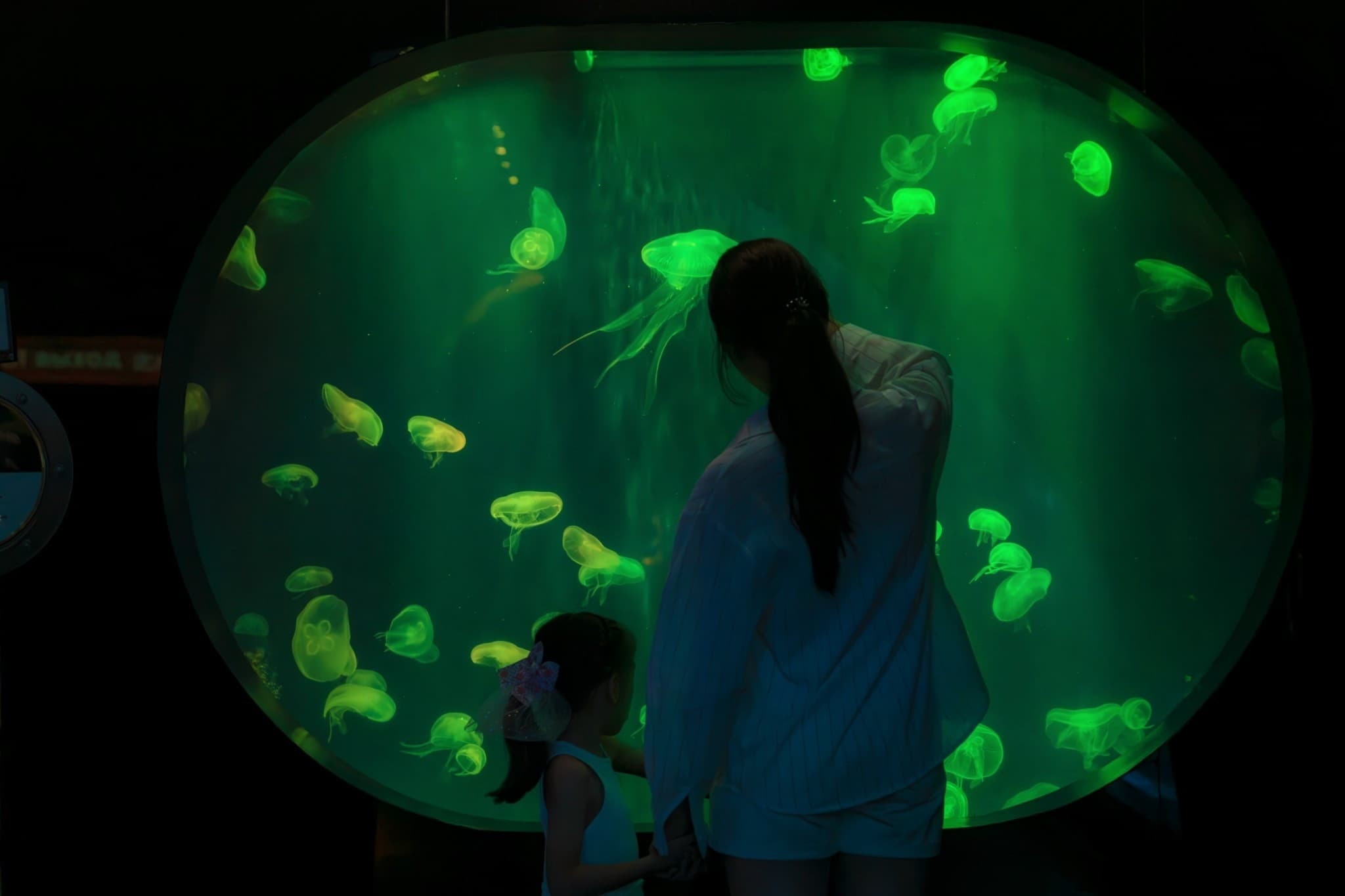 Aquaria Phuket - image 24