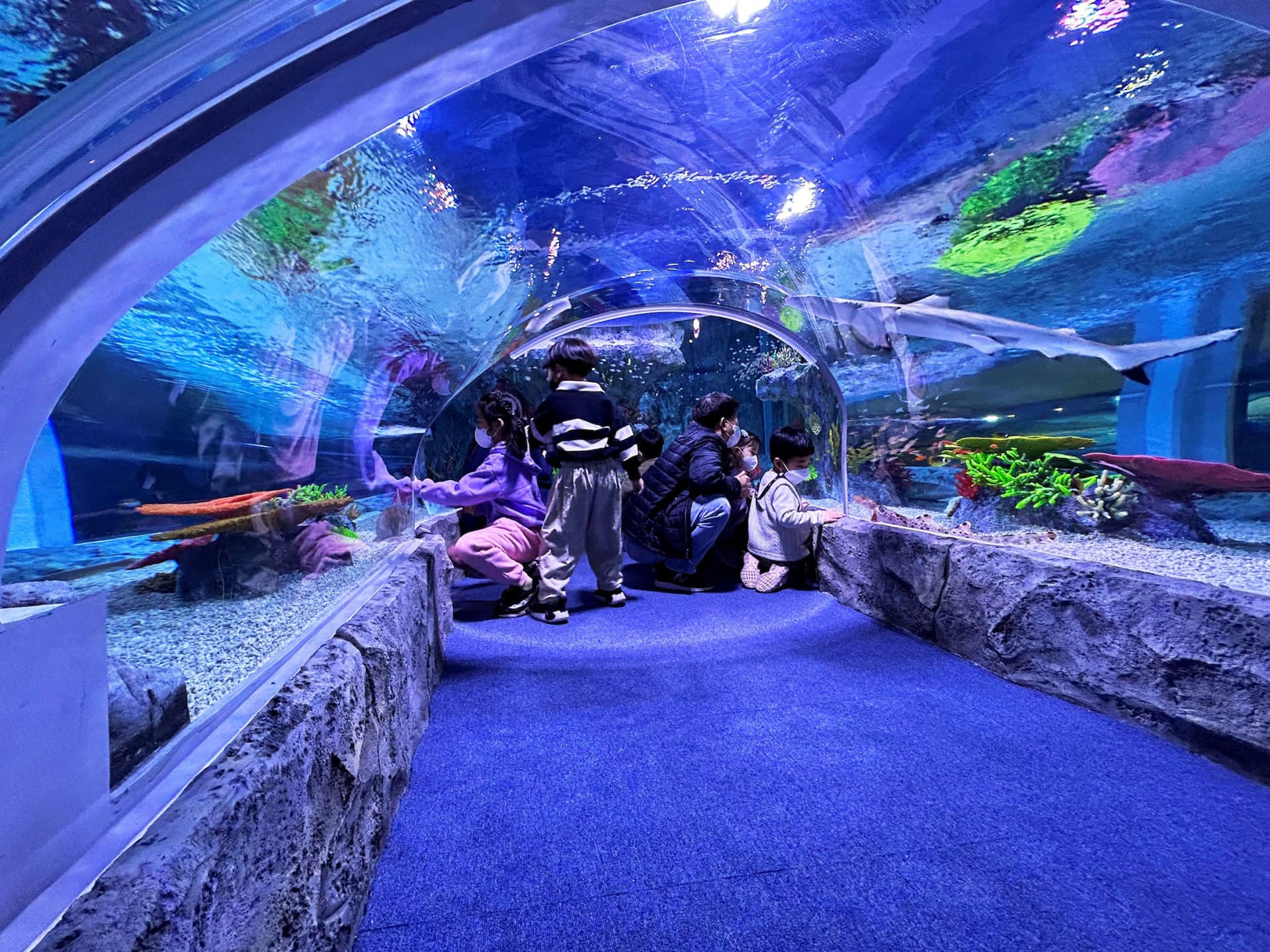 SEA LIFE Busan Aquarium Ticket - image 3