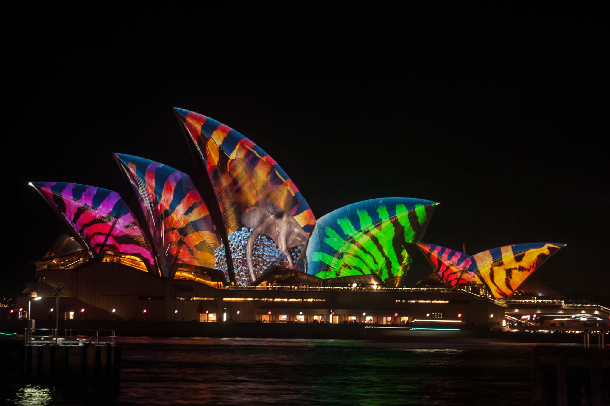 Vivid Festival of Light and Sound Cruise with Buffet Dinner aboard Sydney Princess Cruises - image 10
