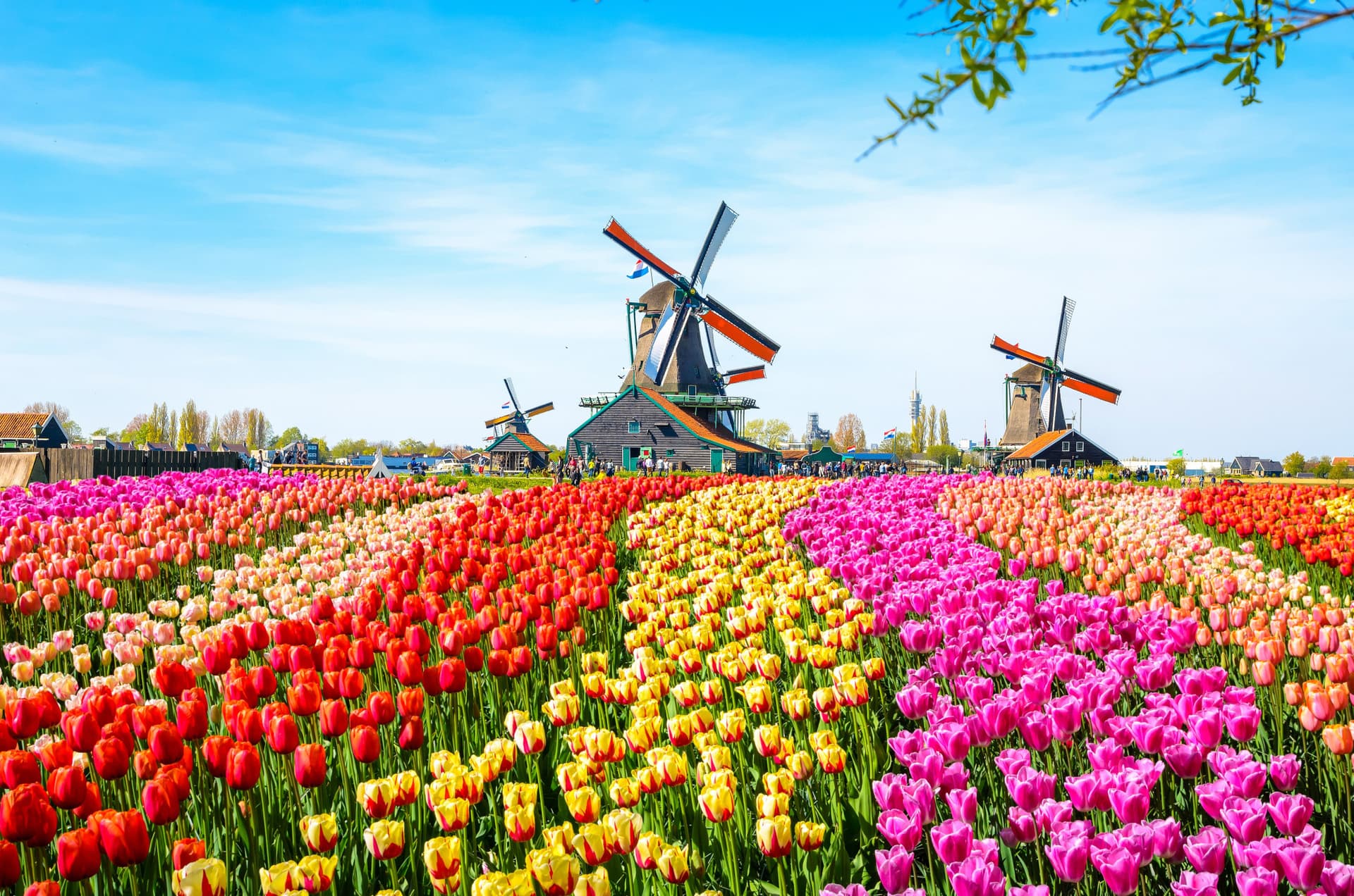 Go City Amsterdam All-Inclusive Pass: Save up to 50% on Attractions - image 32