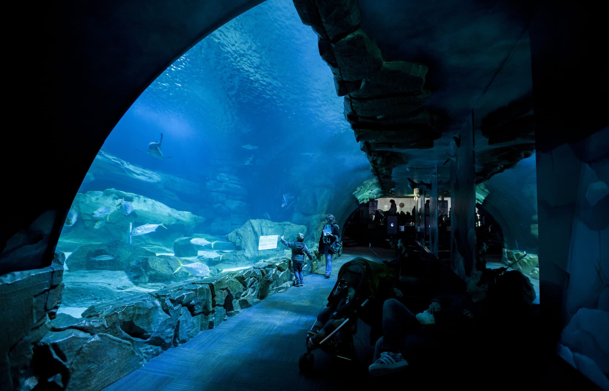 Go City Paris Explorer Pass: Save up to 50% on Attractions - image 14