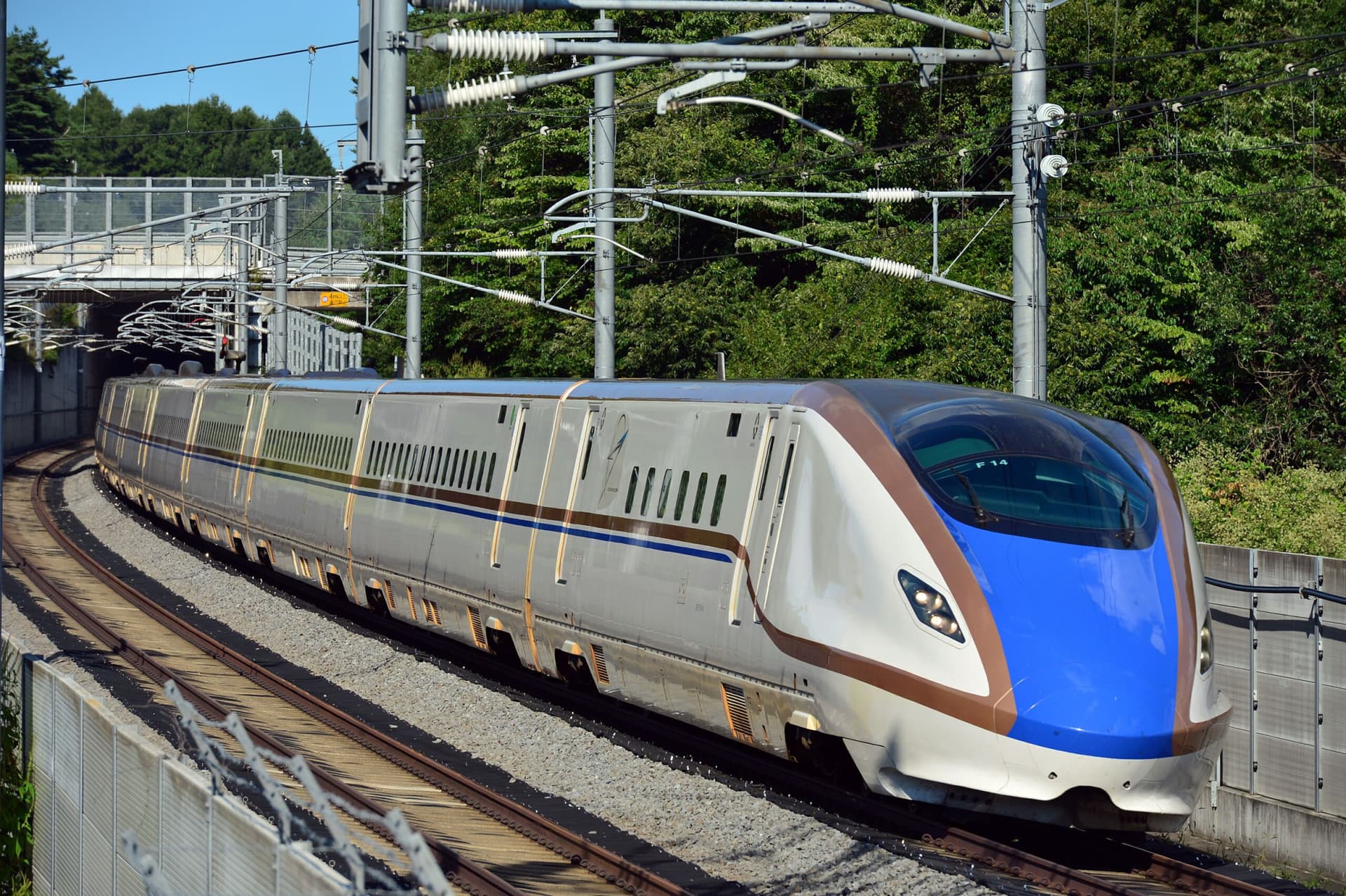 JR EAST PASS - imagen 8